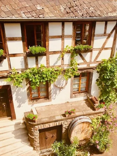 Property building in Hotel Weingut Dehren