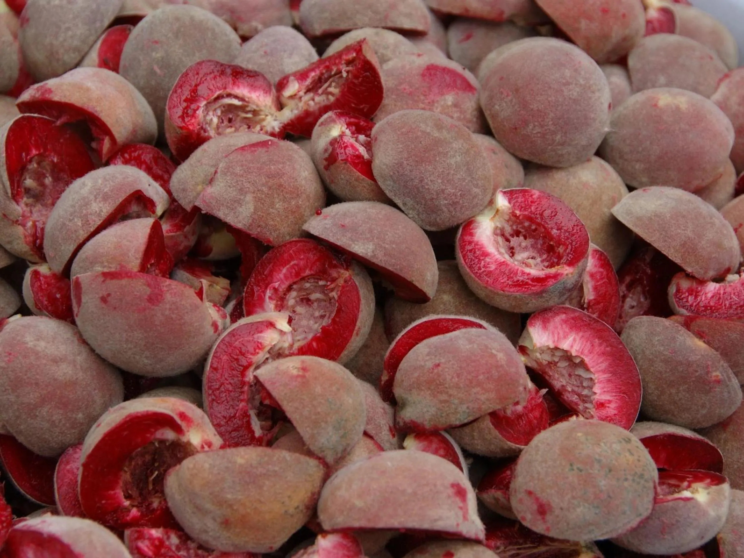 Other in Hotel Weingut Dehren