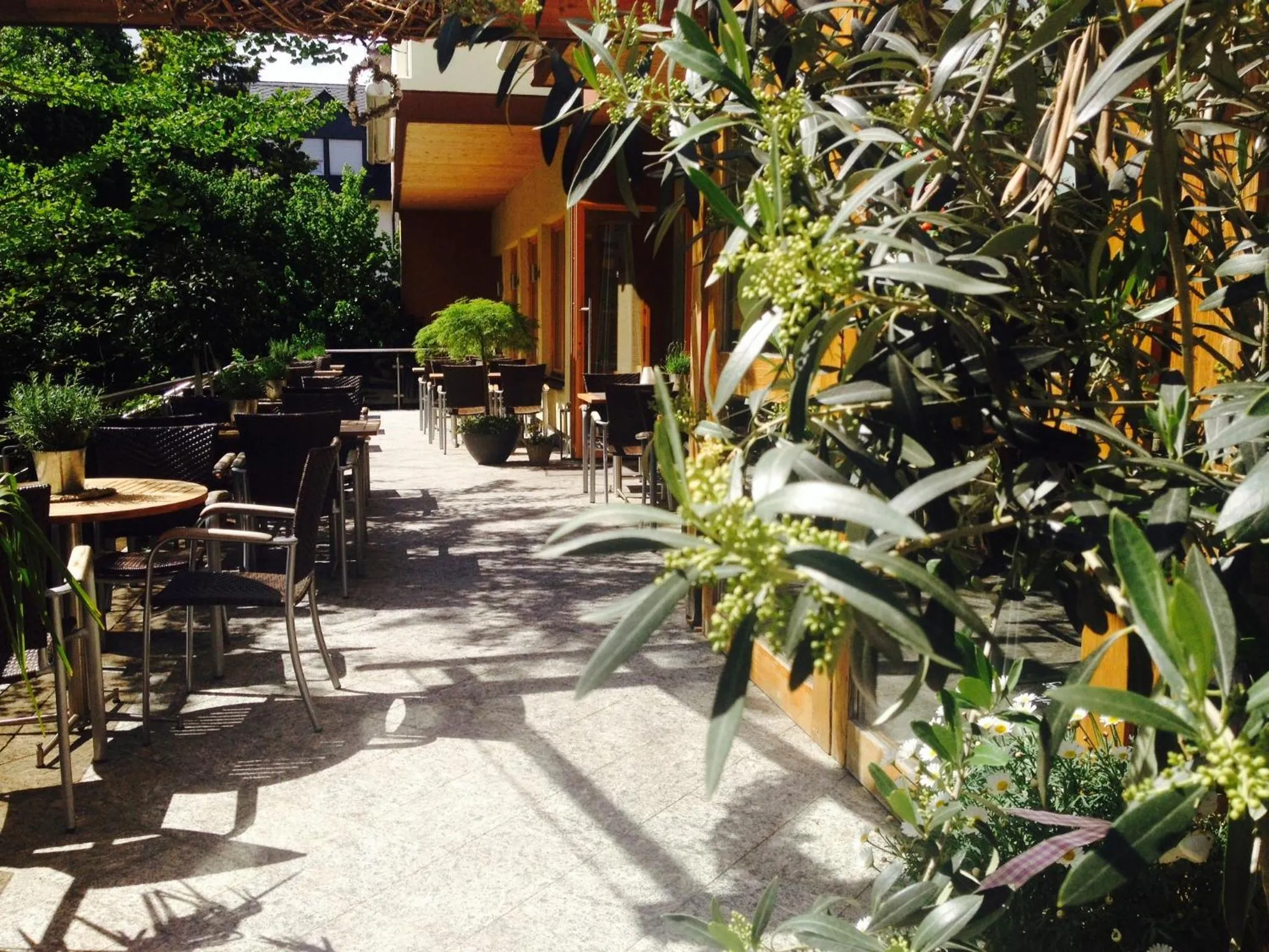 Property building in Hotel Weingut Dehren