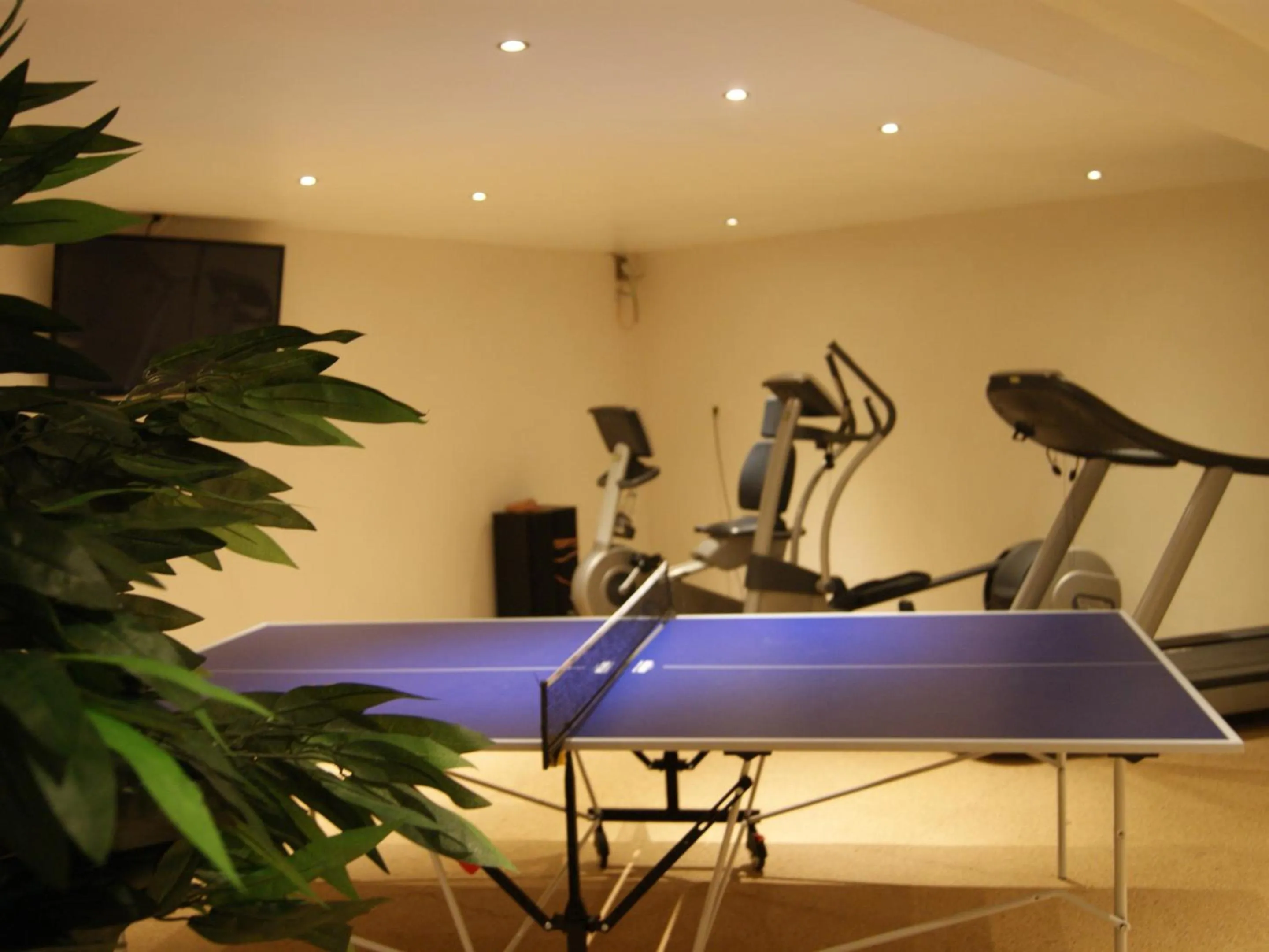 Activities in Hotel Weingut Dehren