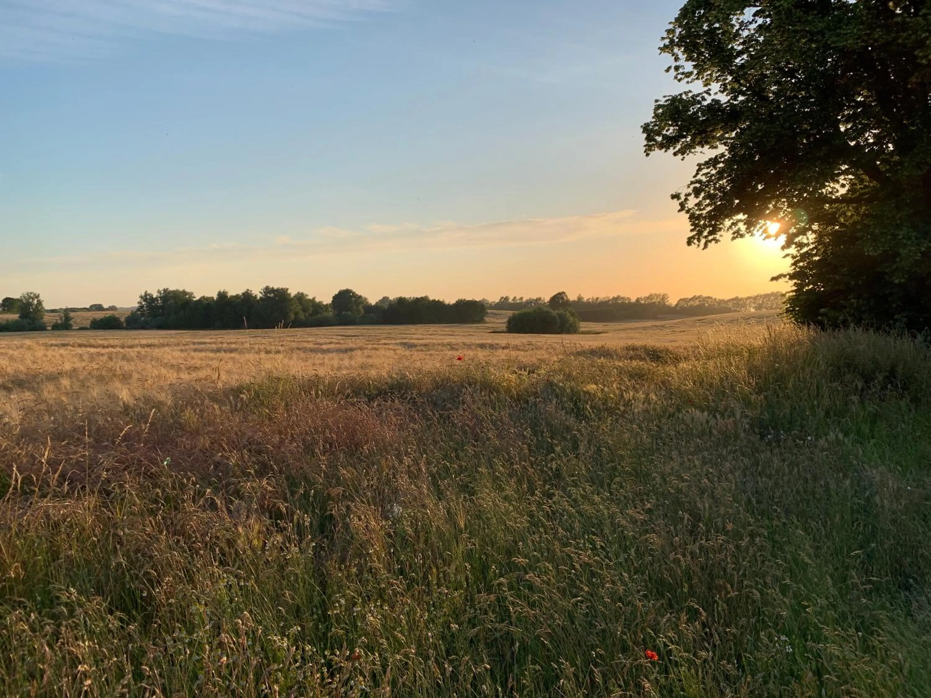 Staff in Reet und Meer Beckerwitz
