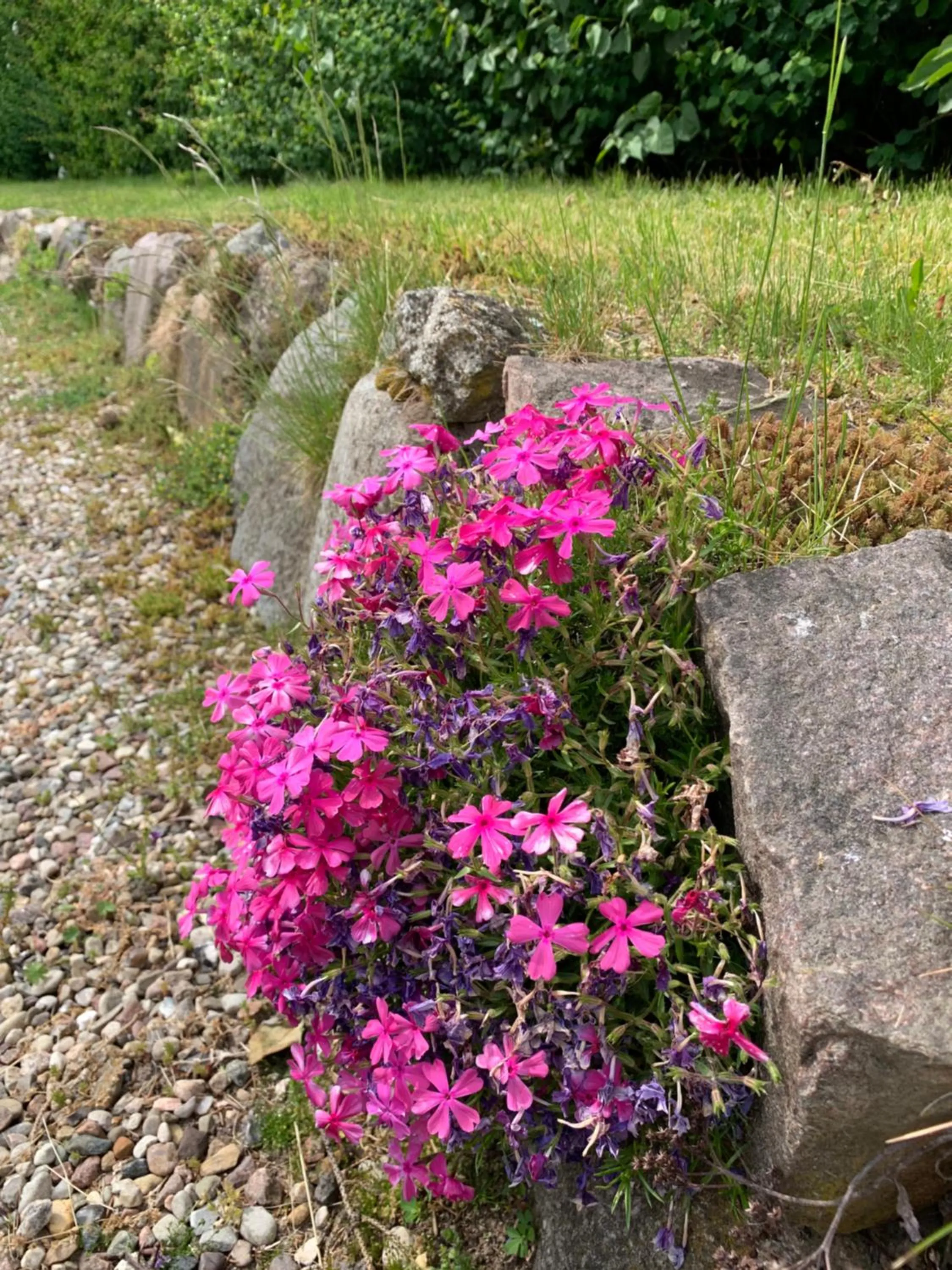 Garden in Reet und Meer Beckerwitz