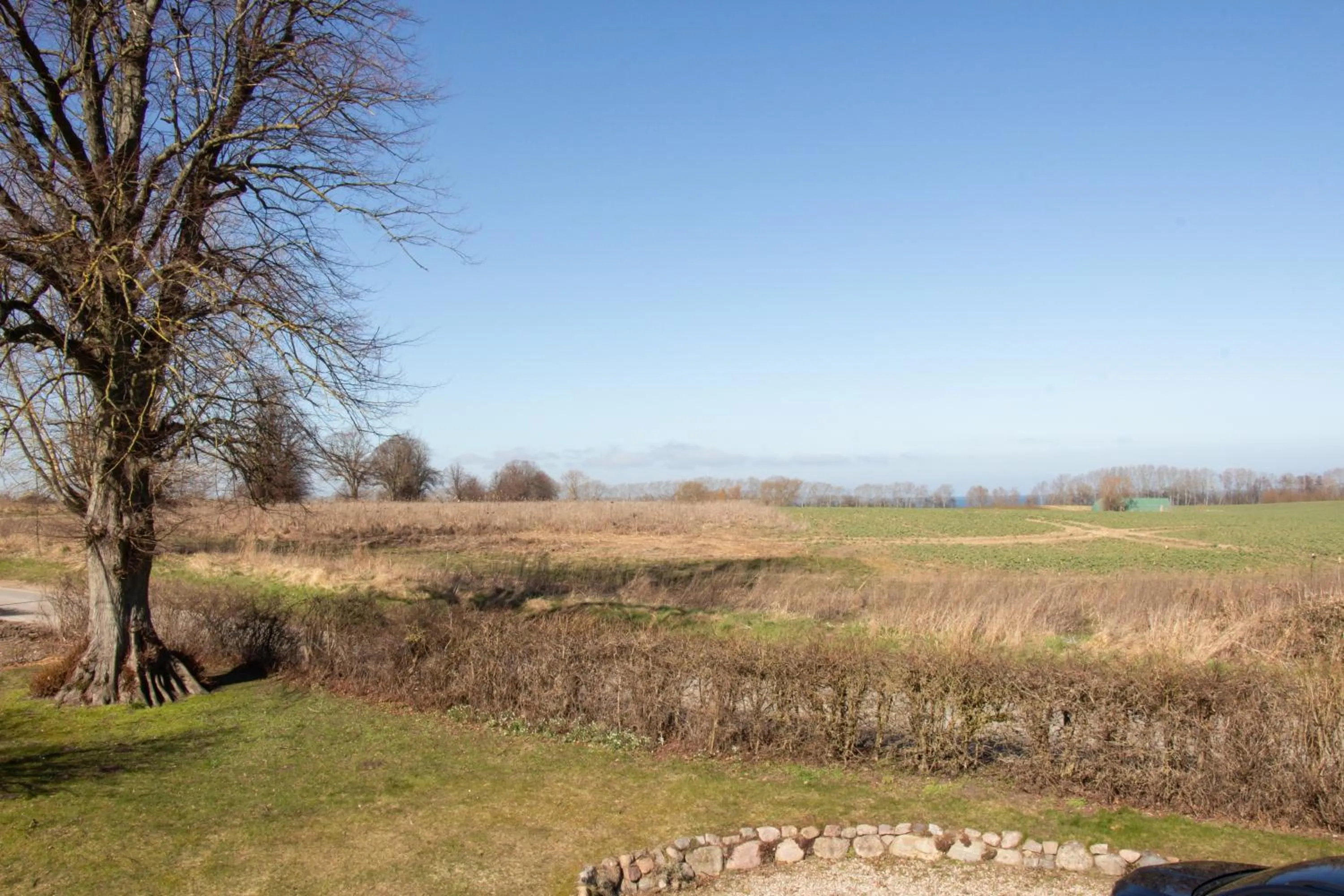 View (from property/room) in Reet und Meer Beckerwitz