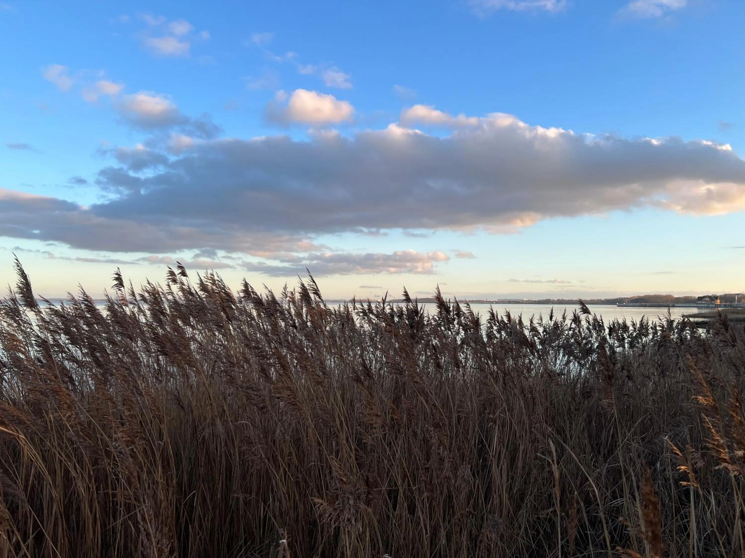 Off site in Reet und Meer Beckerwitz