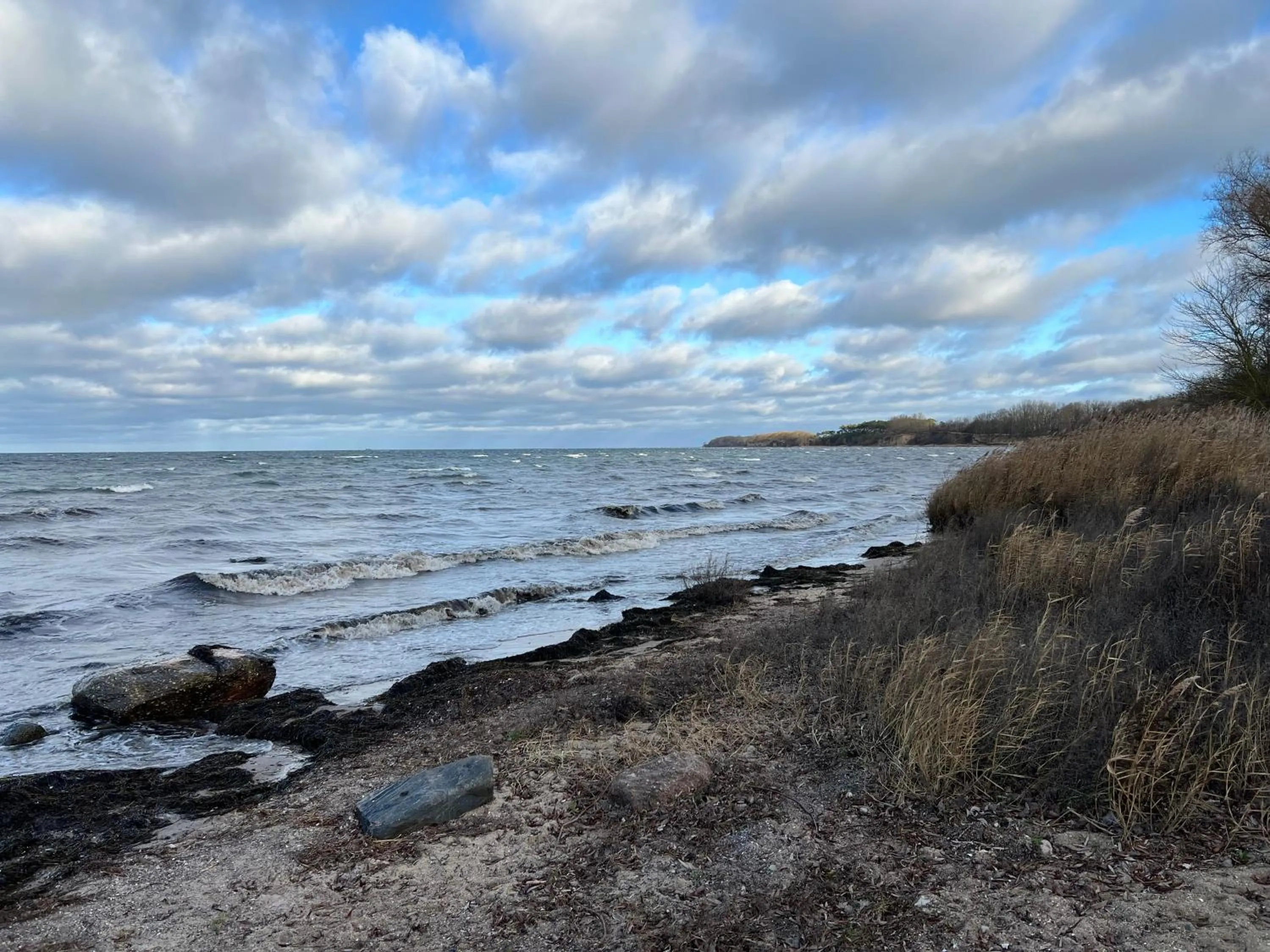 Off site in Reet und Meer Beckerwitz