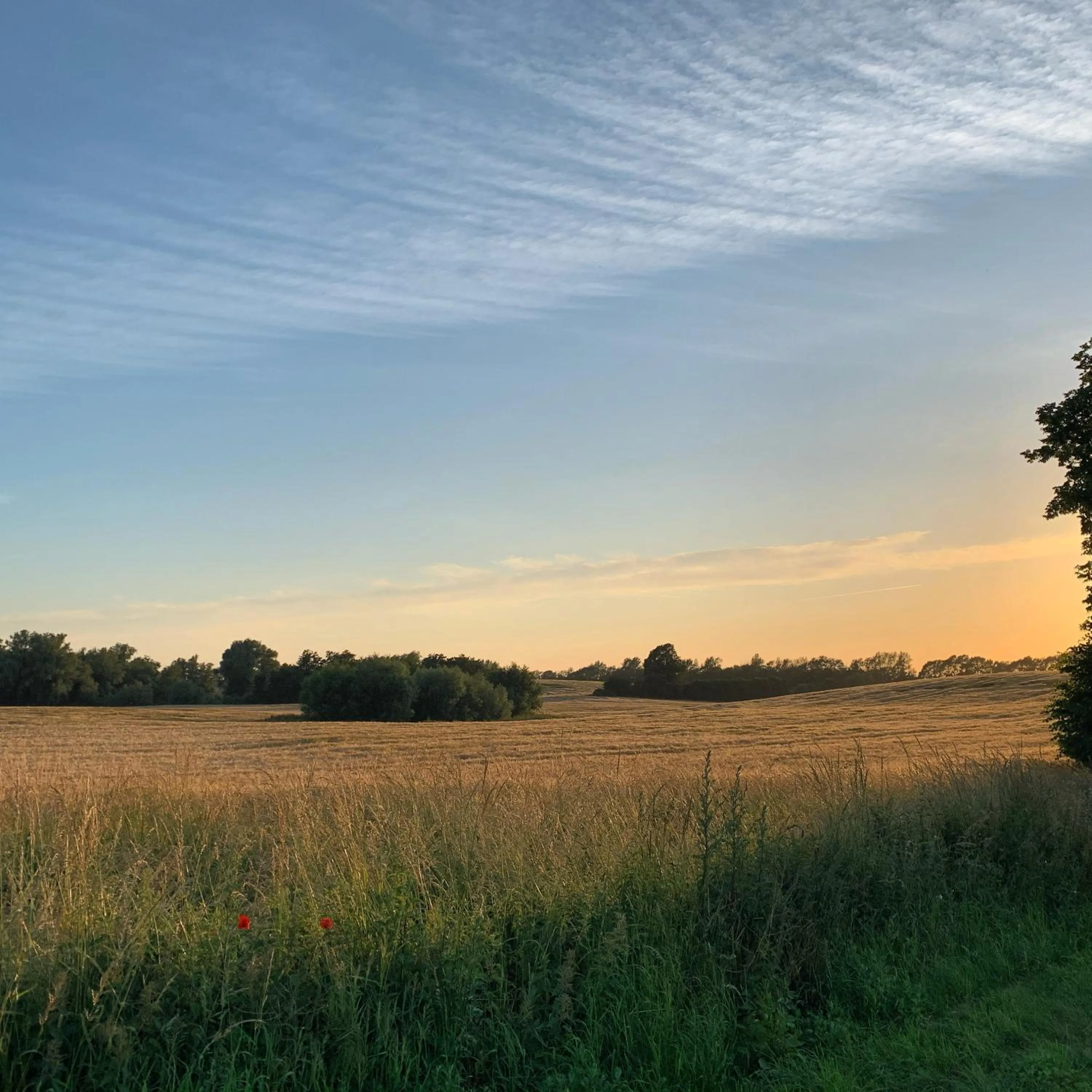 Neighbourhood in Reet und Meer Beckerwitz