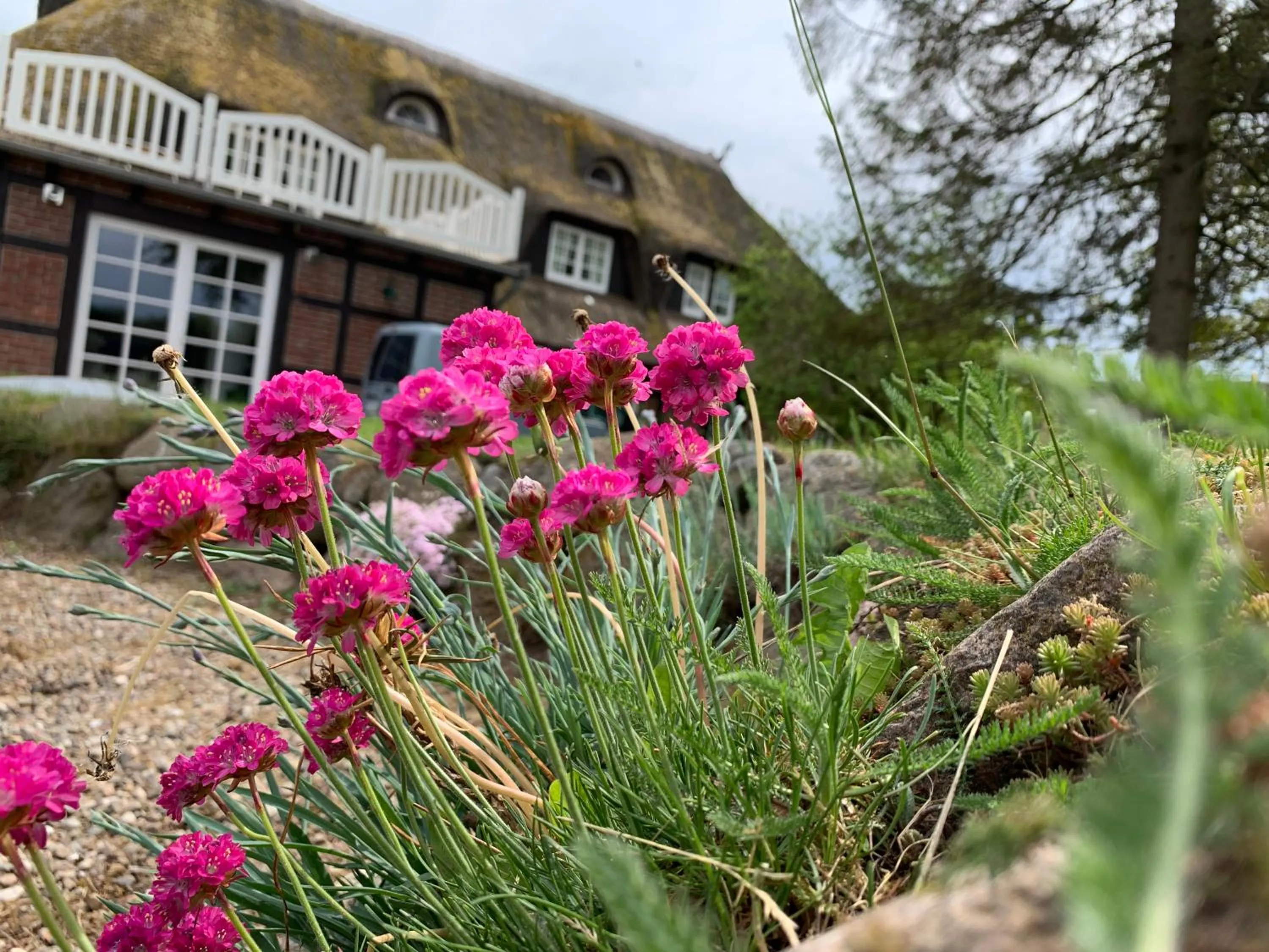 Garden in Reet und Meer Beckerwitz