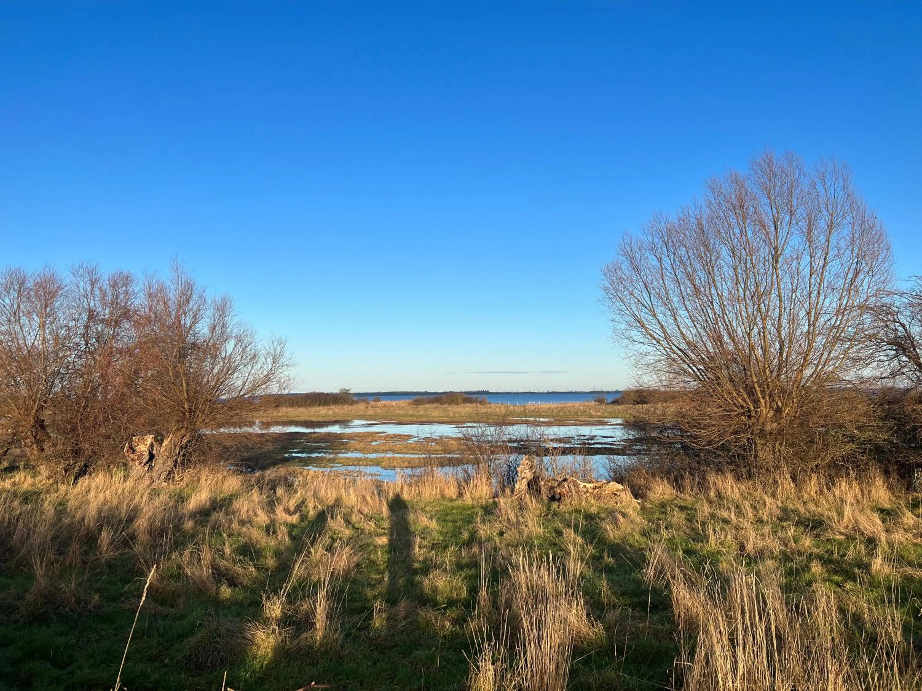 Off site in Reet und Meer Beckerwitz