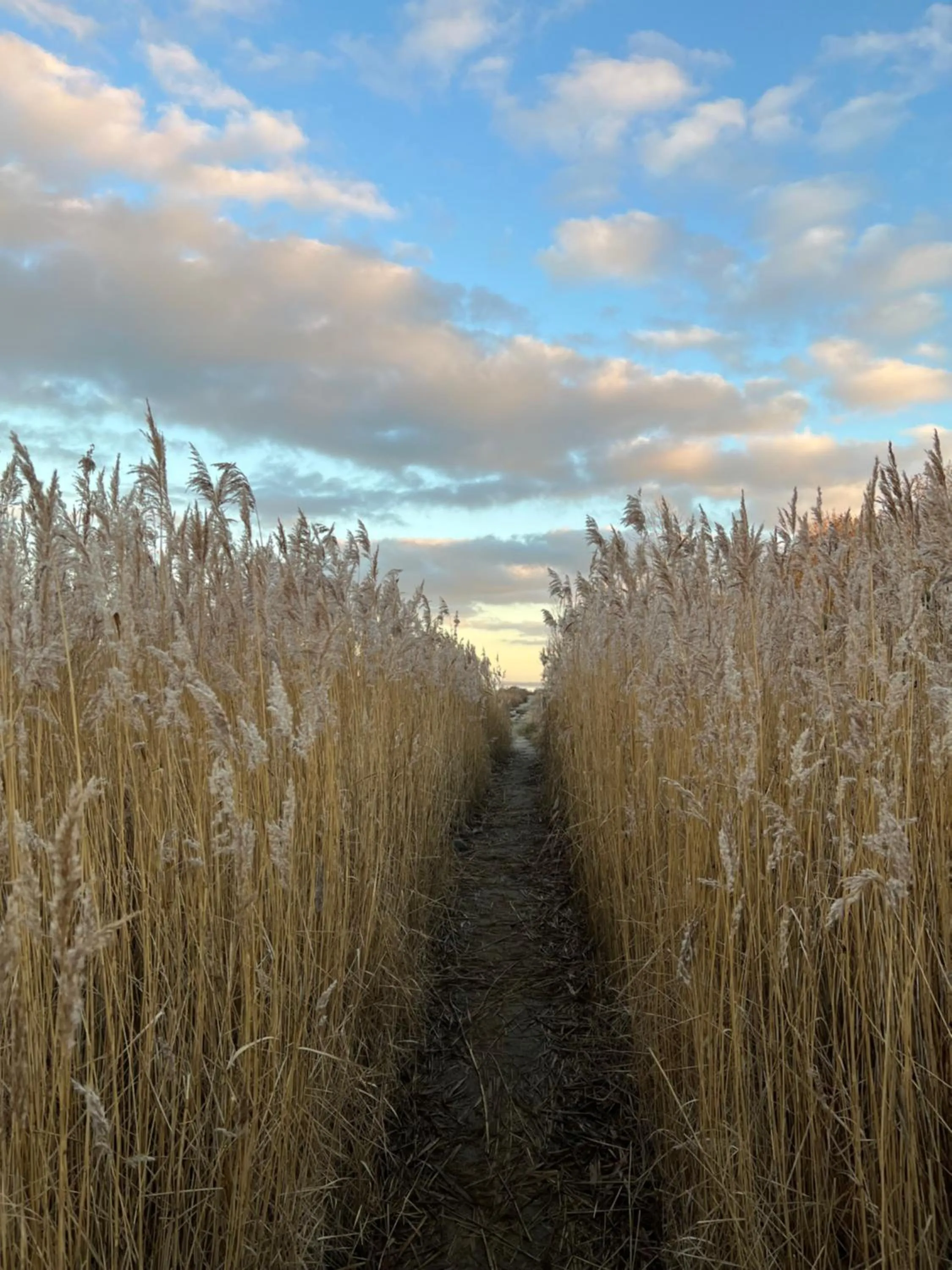 Off site in Reet und Meer Beckerwitz