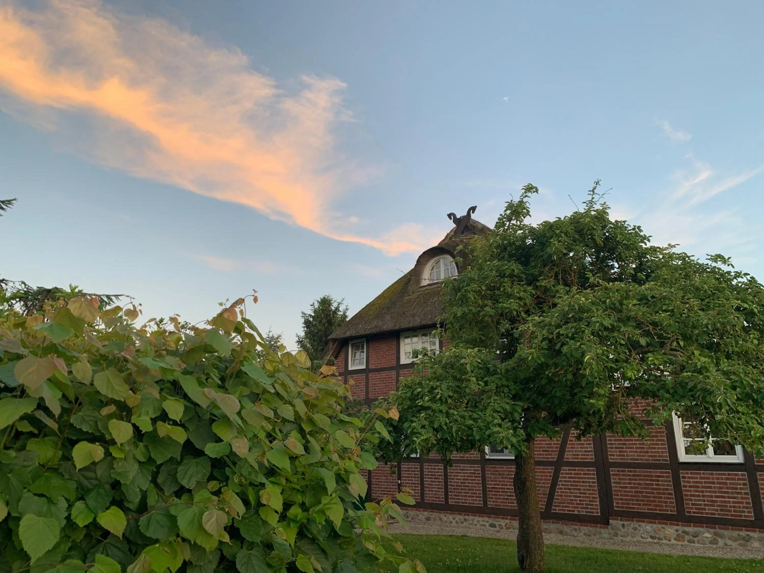 Garden in Reet und Meer Beckerwitz