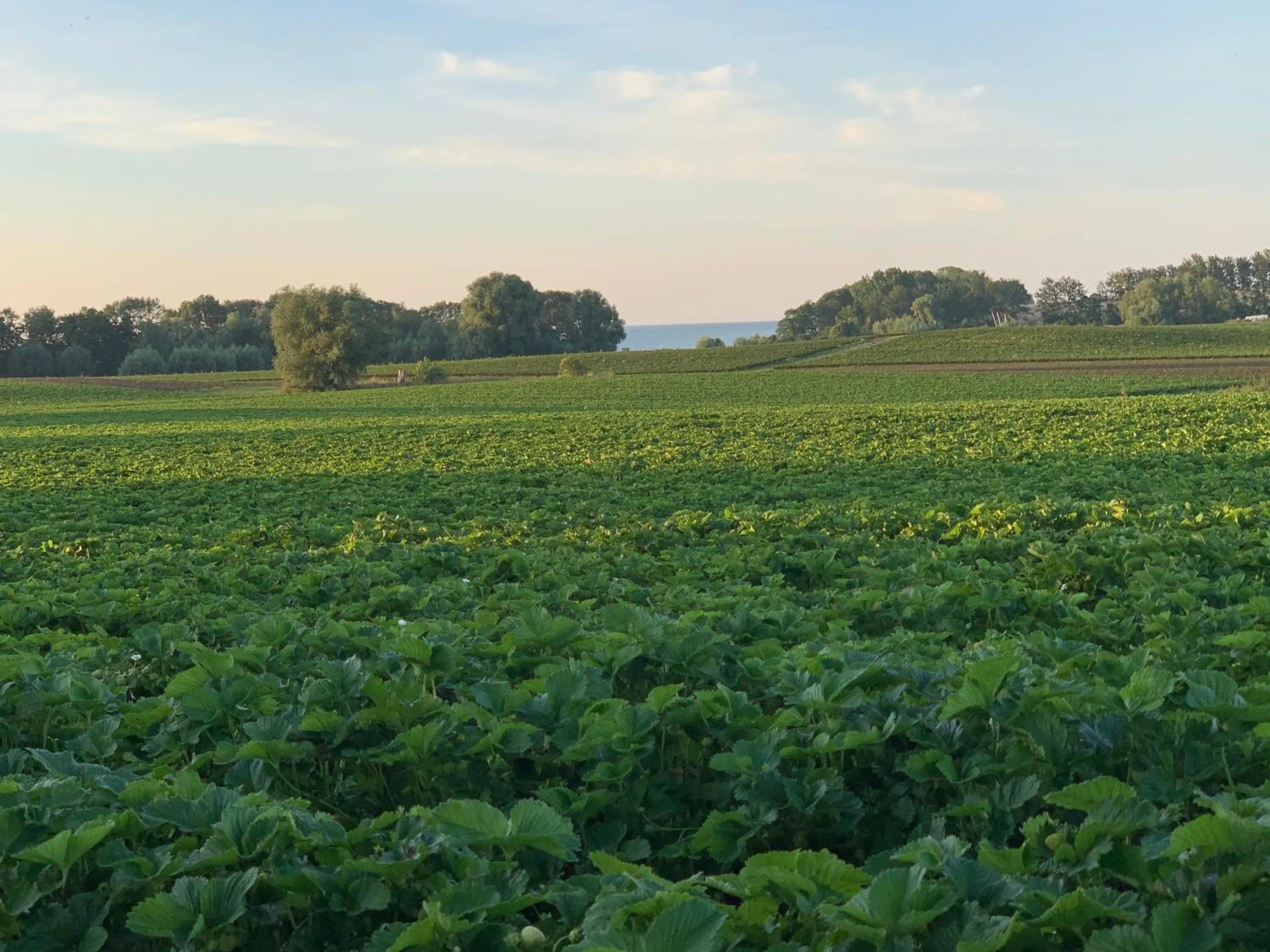 Off site in Reet und Meer Beckerwitz