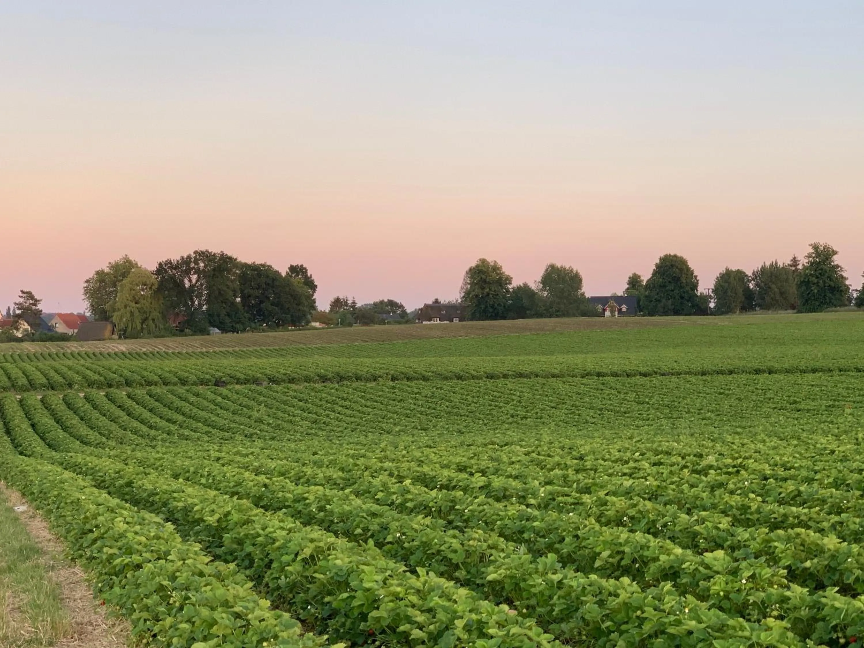 Off site in Reet und Meer Beckerwitz