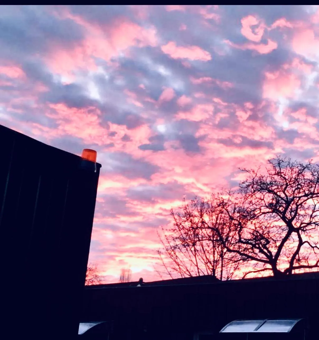 Summer in Motel Home Berlin