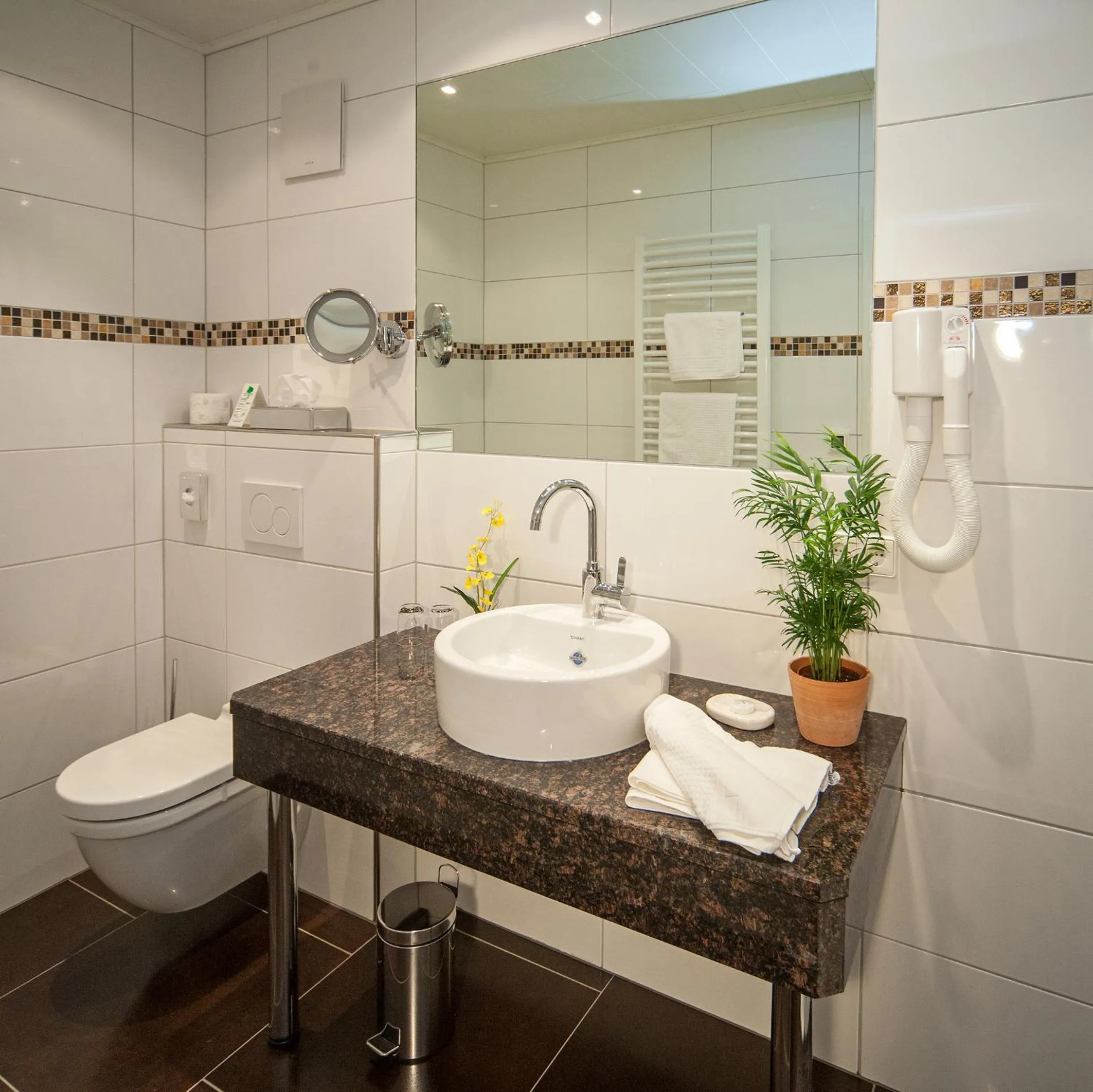 Bathroom in Hotel Engel