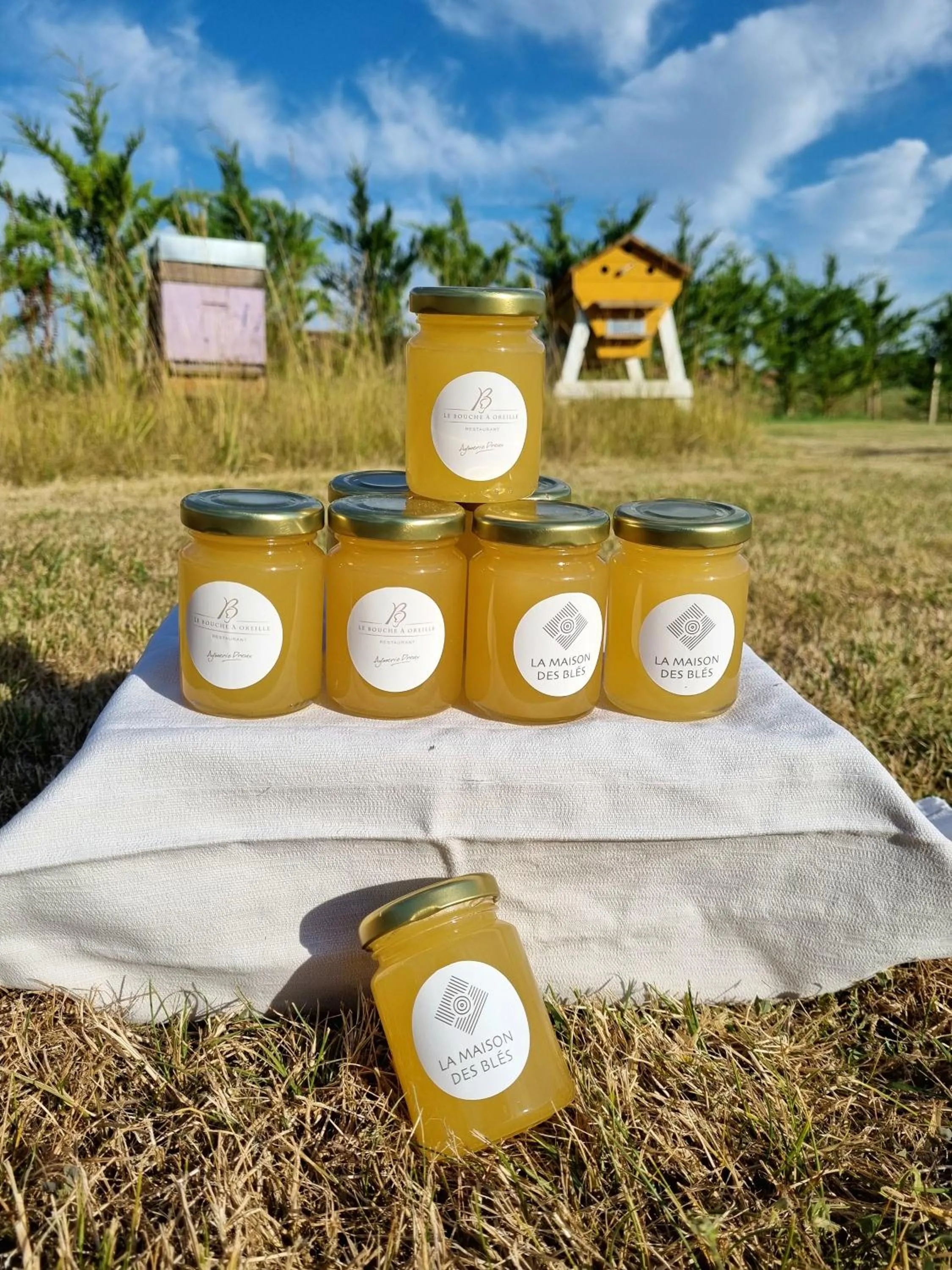 Hôtel & Restaurant La maison des blés