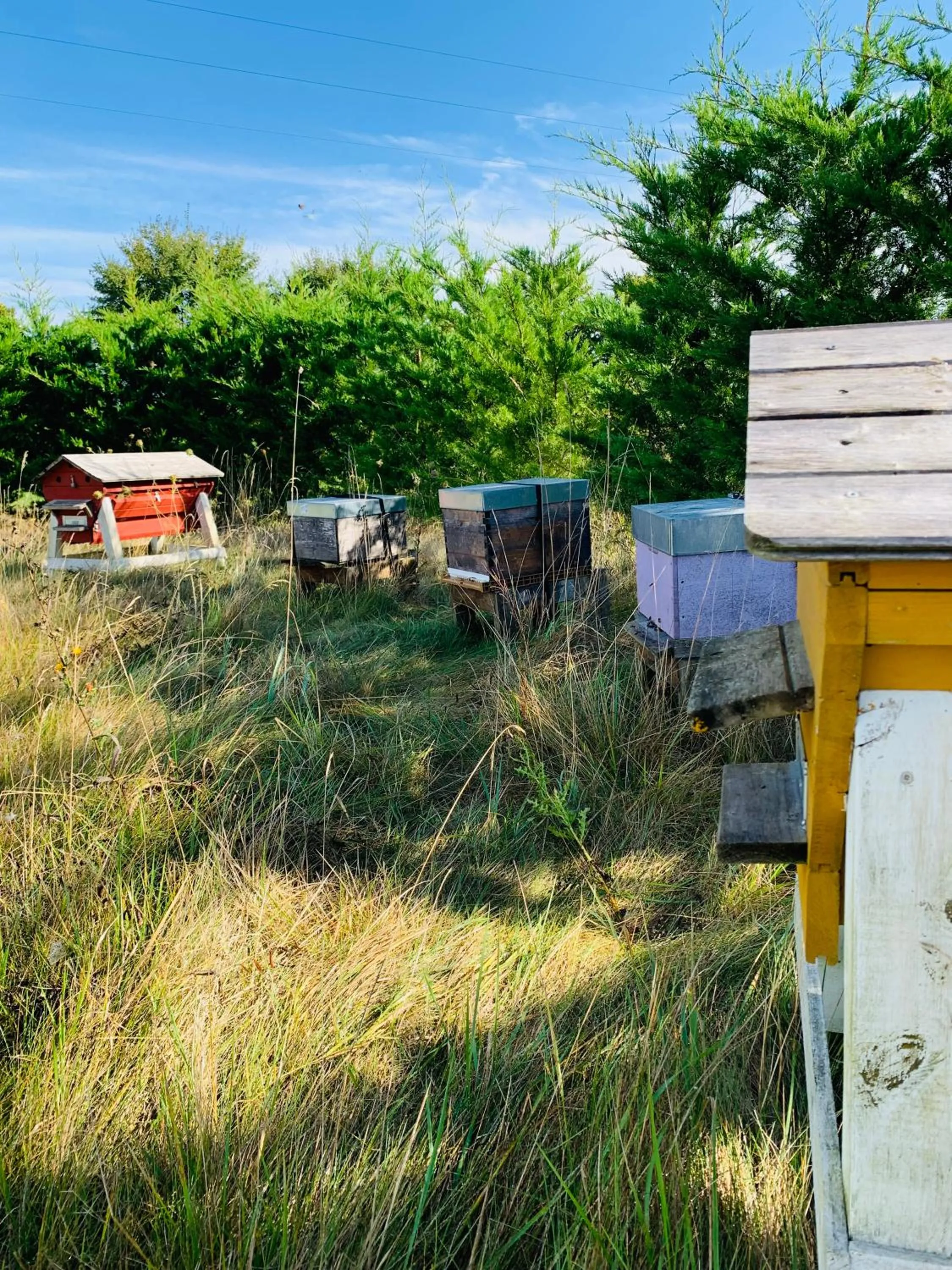 Hôtel & Restaurant La maison des blés