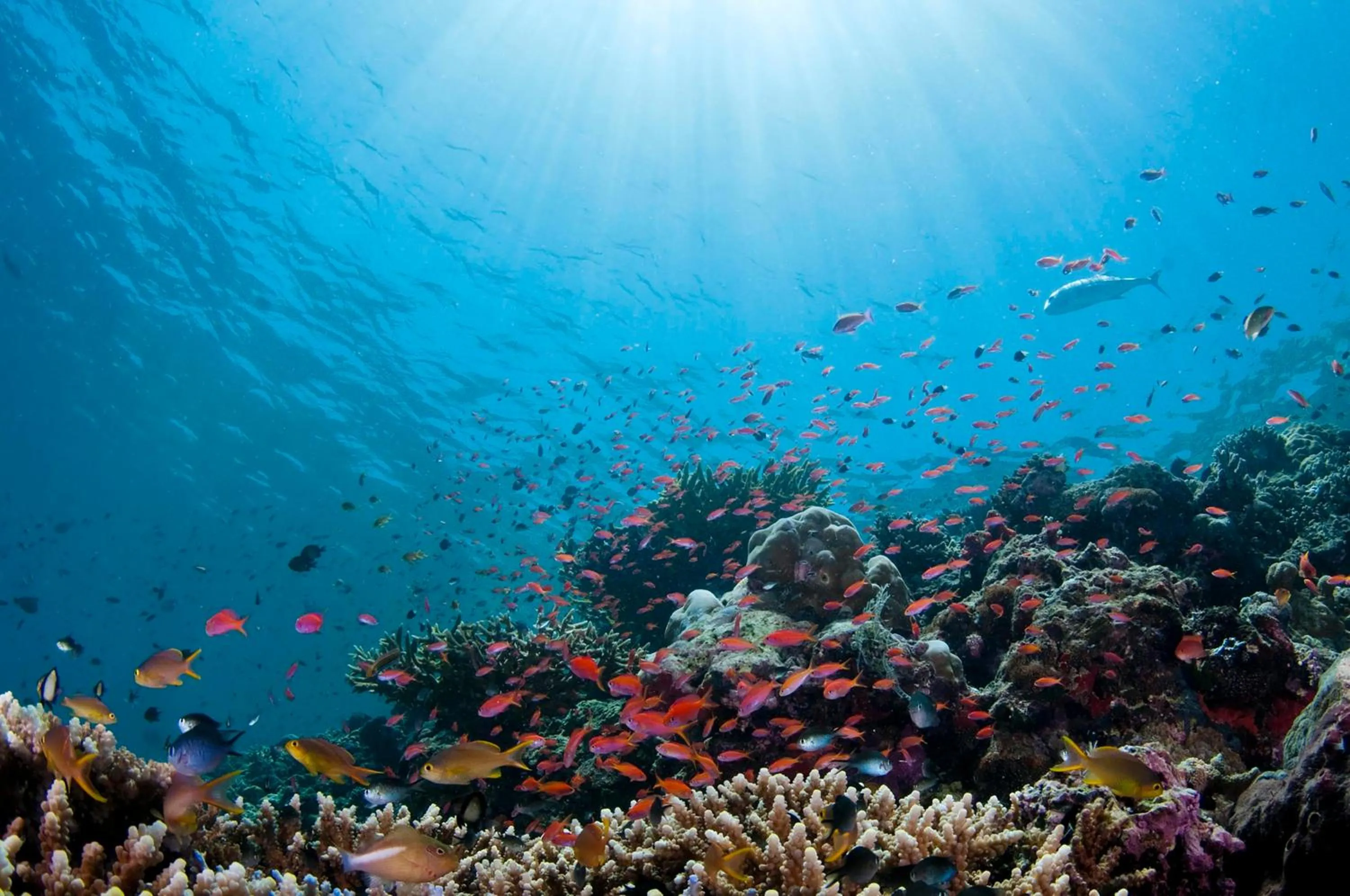 Area and facilities in Holiday Inn Express Kota Kinabalu City Centre by IHG