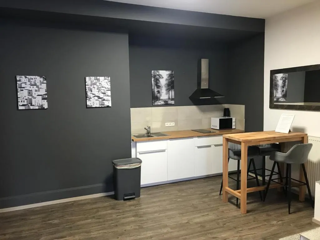 Maxim Apartments Mainz