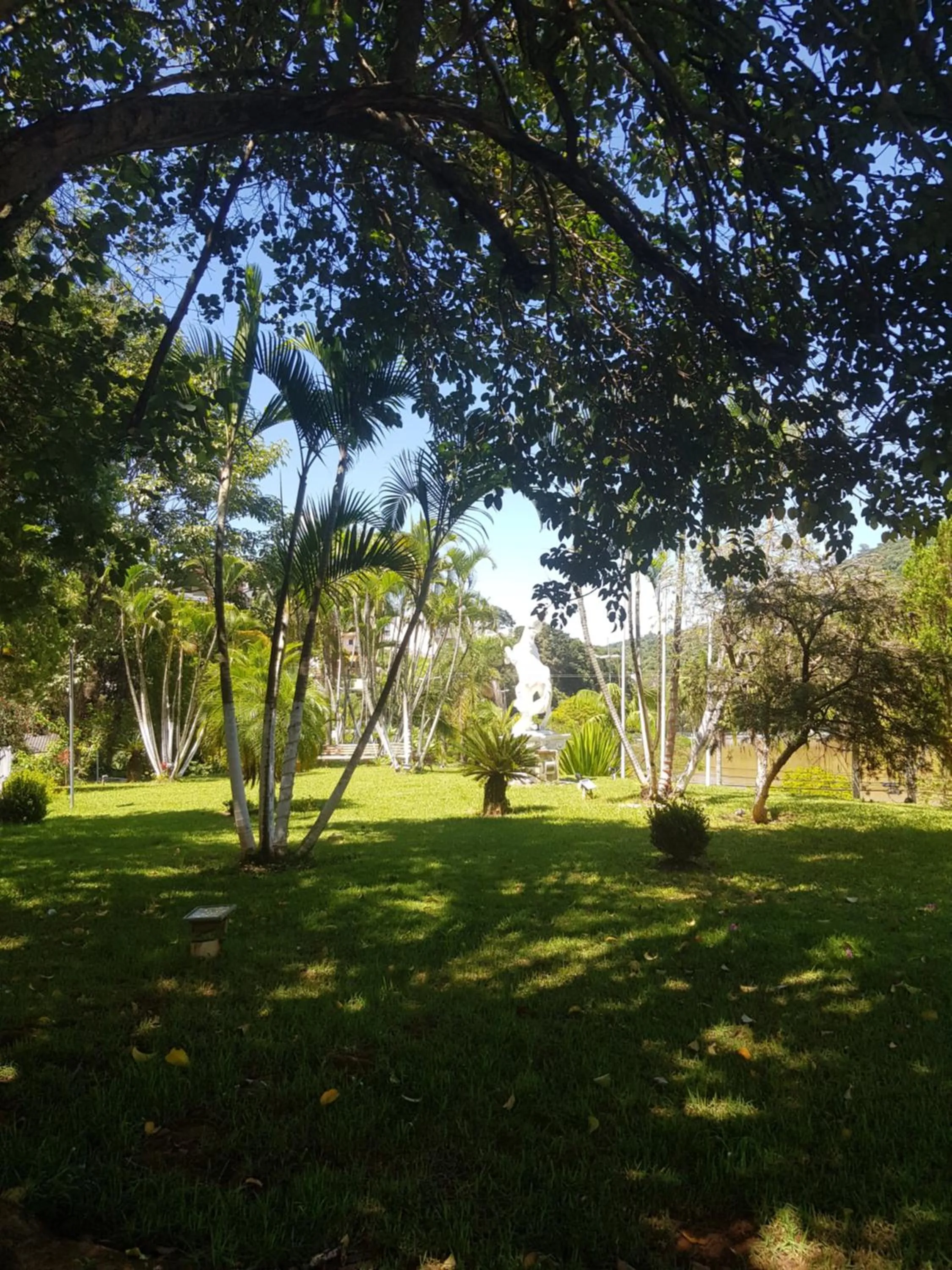 Flat Hotel Cavalinho Branco