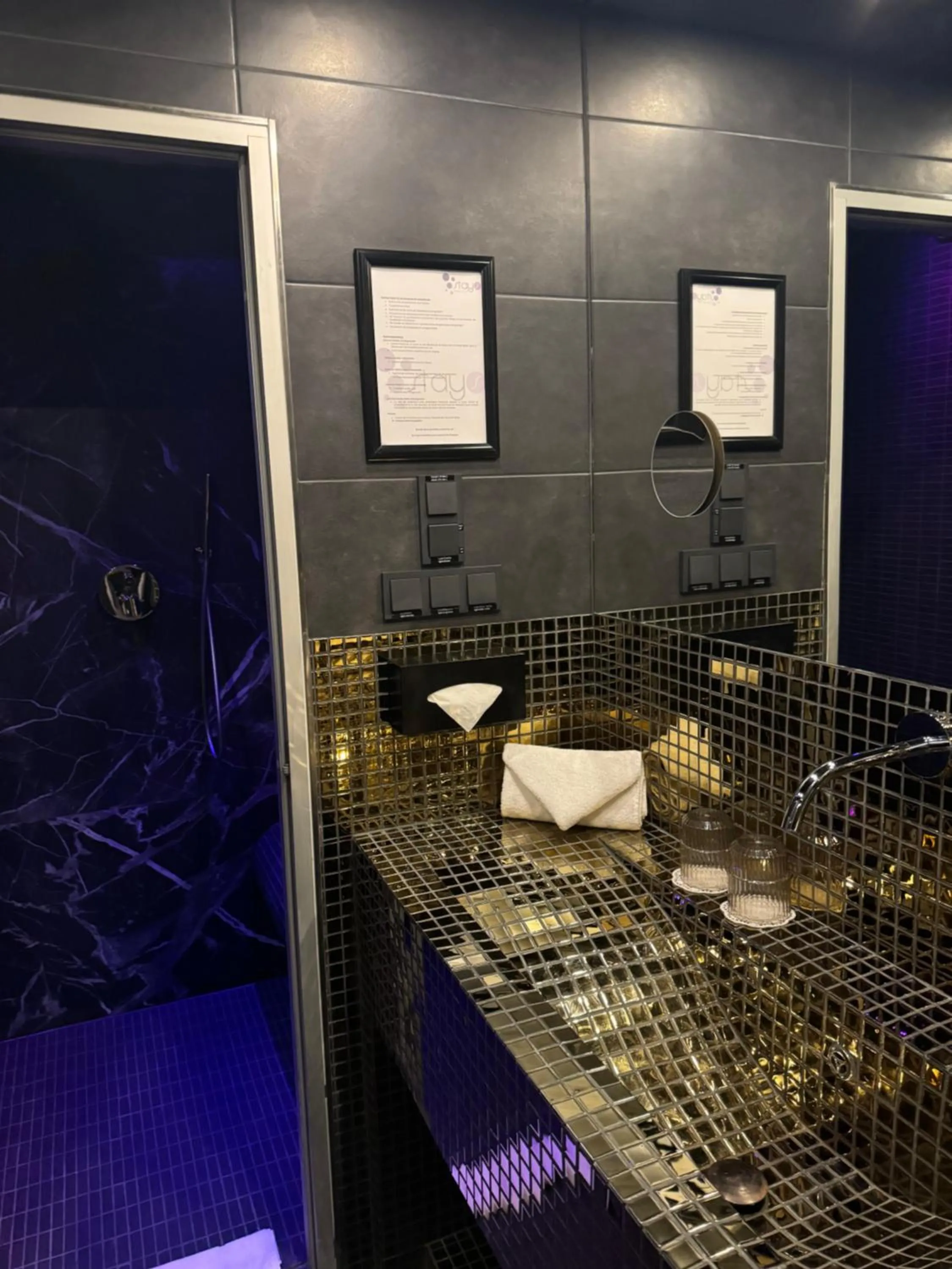 Toilet in PLAZA INN stays design Dortmund
