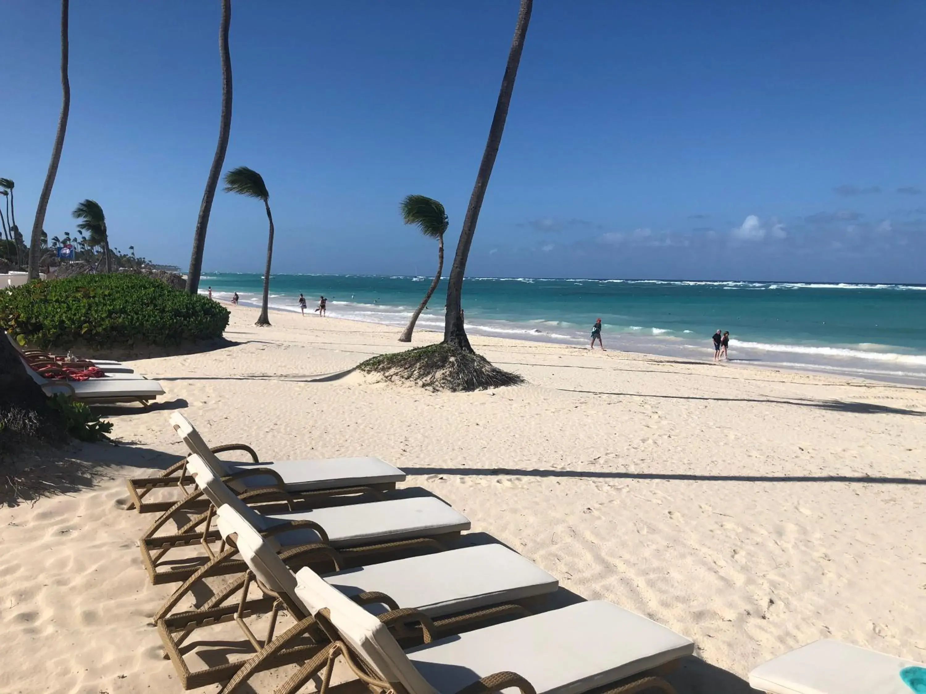 Beautiful One Bedroom unit with pool and Beach club in a Golf Project Beautiful One Bedroom unit with pool and Beach club in a Golf Project