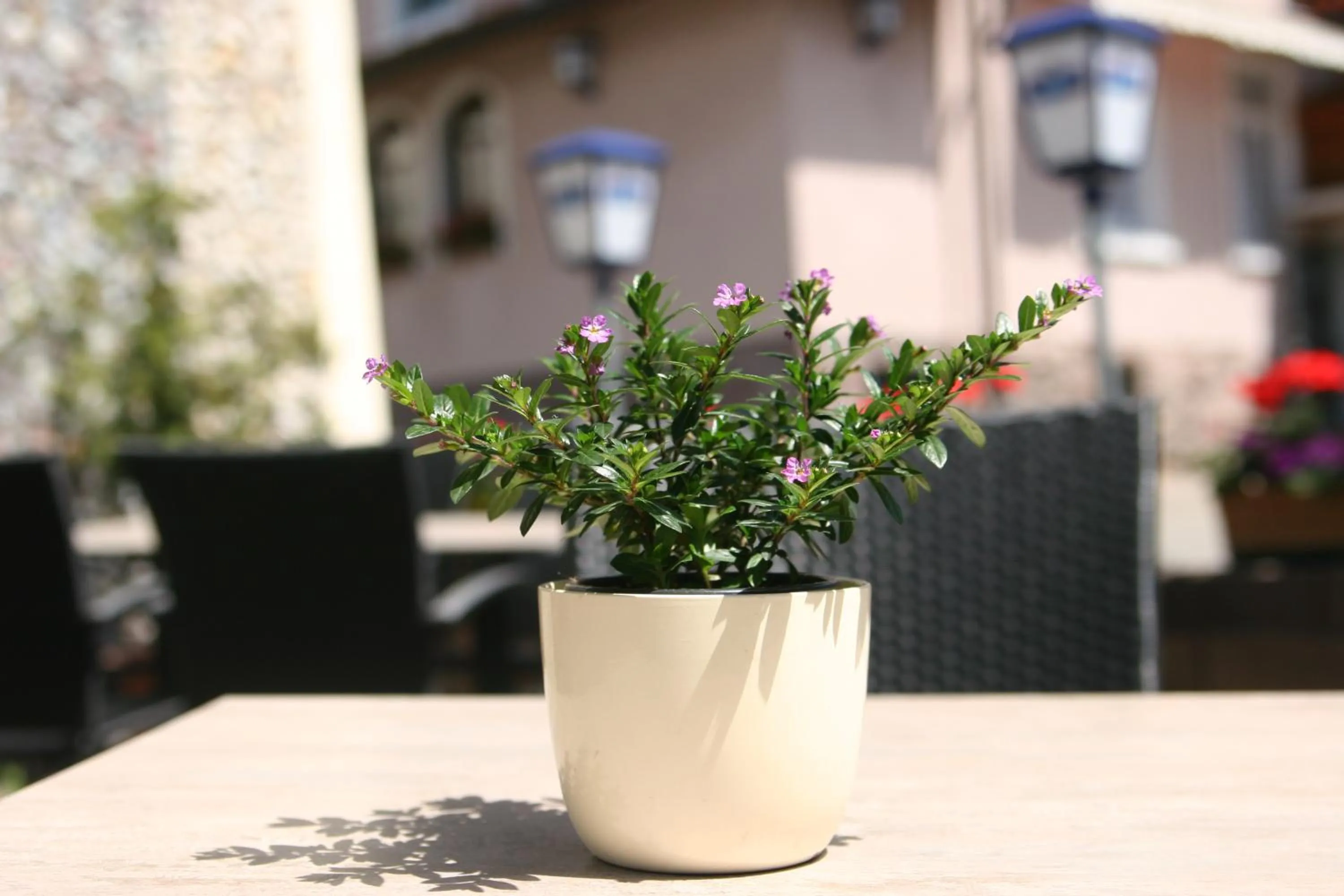 Hotel Restaurant Zum Hirschen