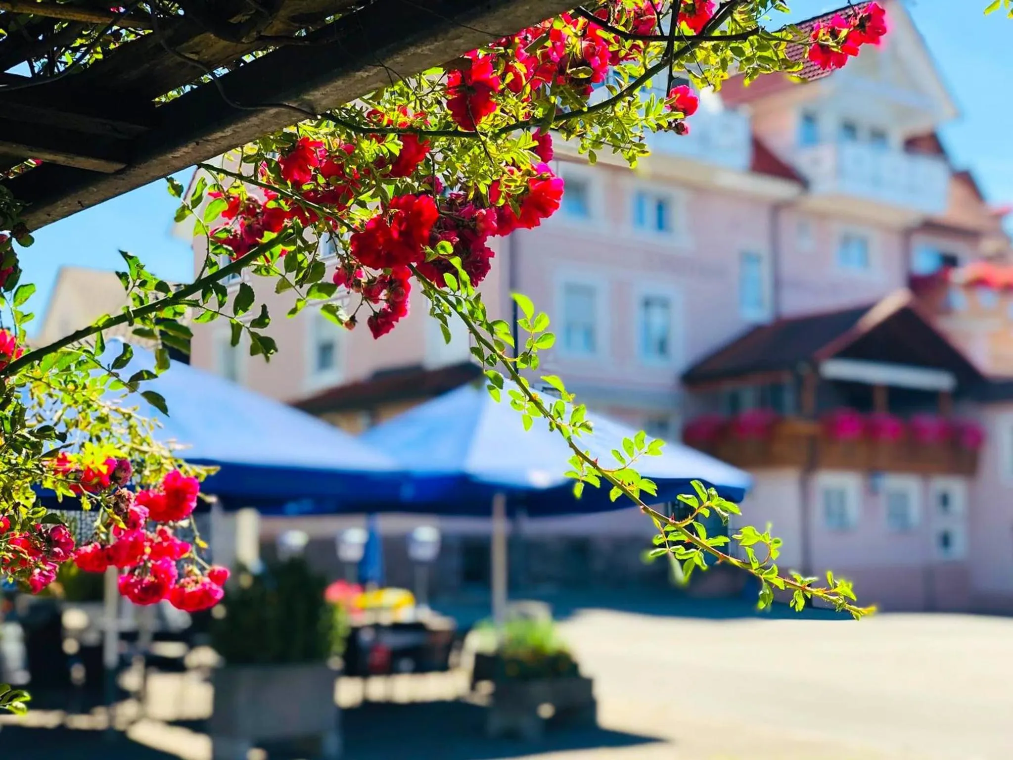 Garden in Hotel Restaurant Zum Hirschen