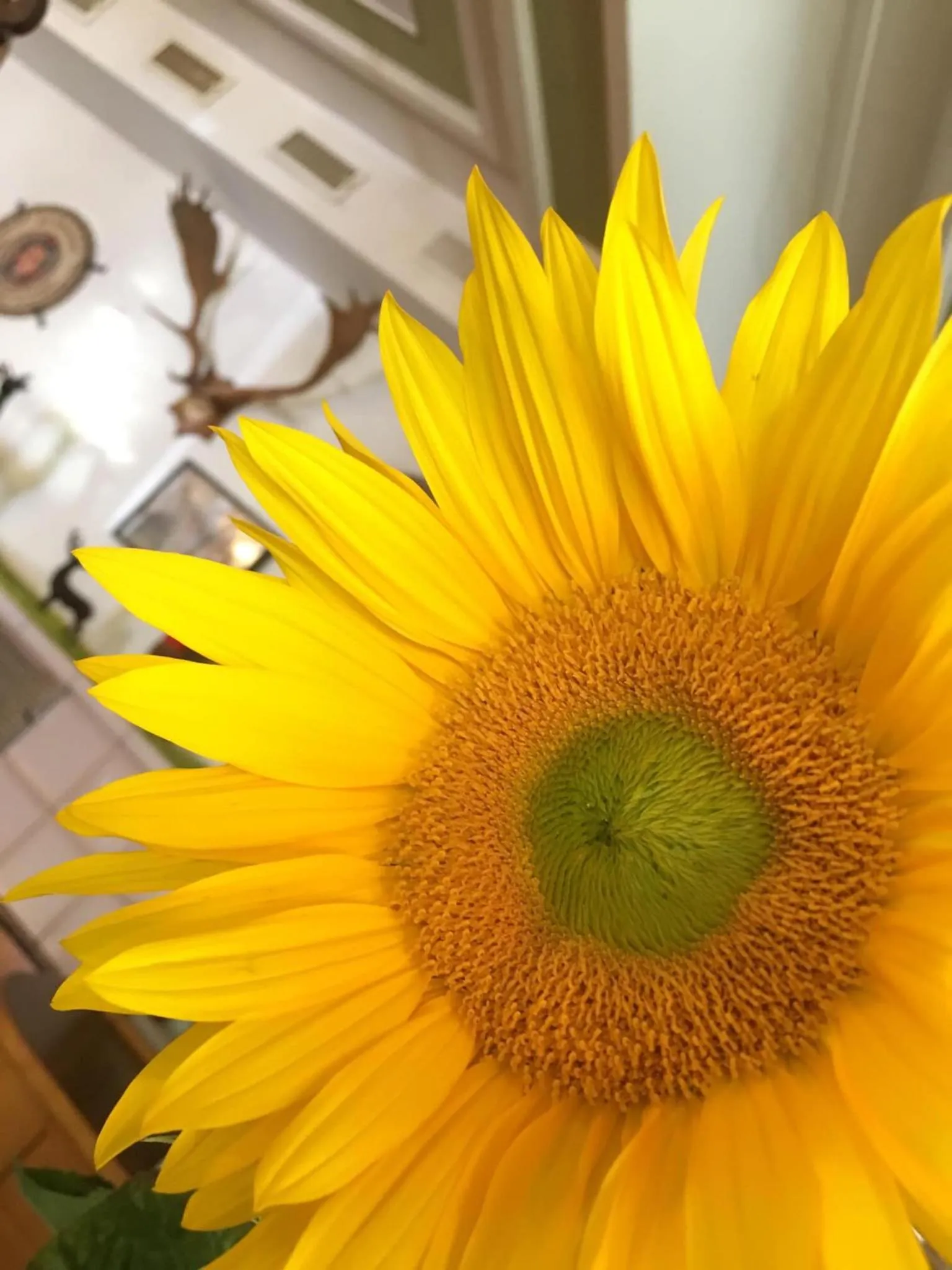 Hotel Restaurant Zum Hirschen