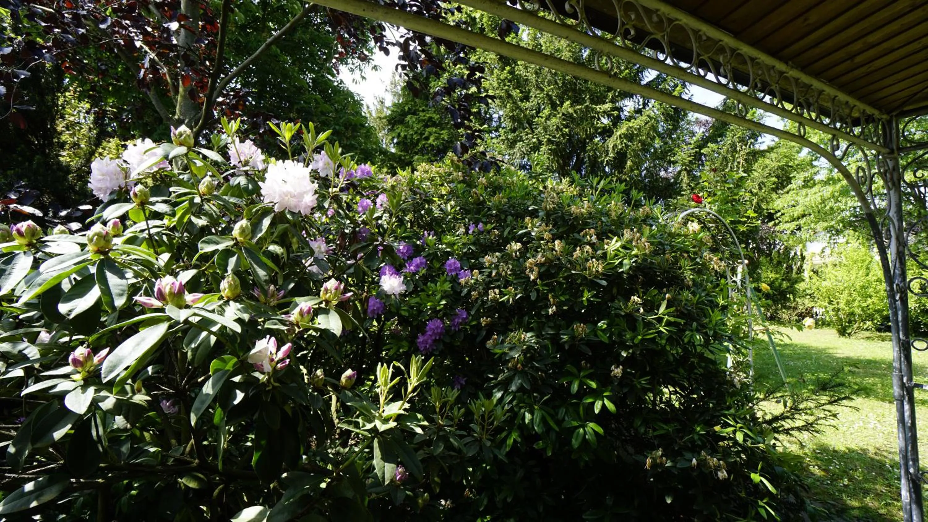 Garden in Hotel Anika