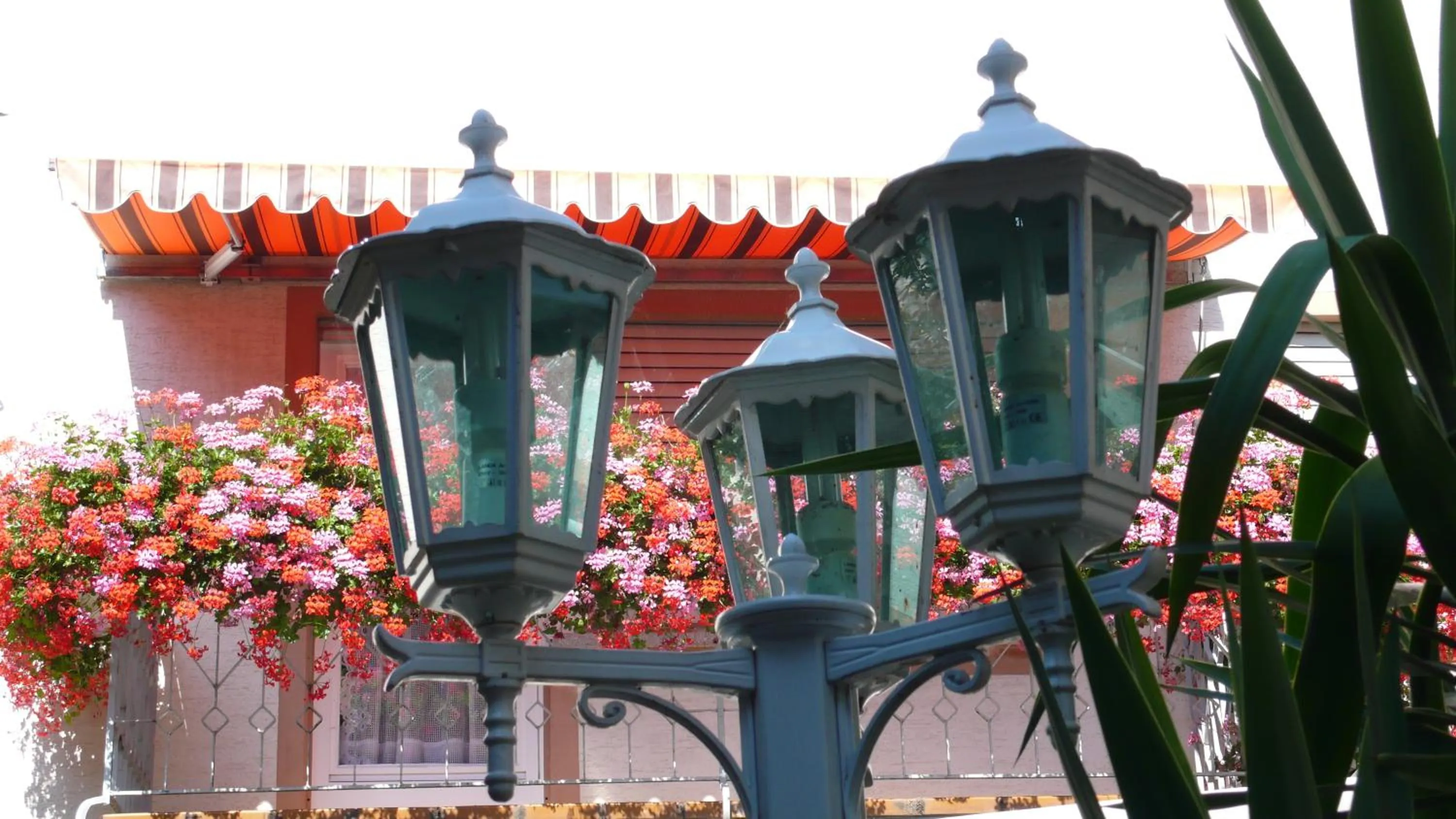 Patio in Hotel Anika