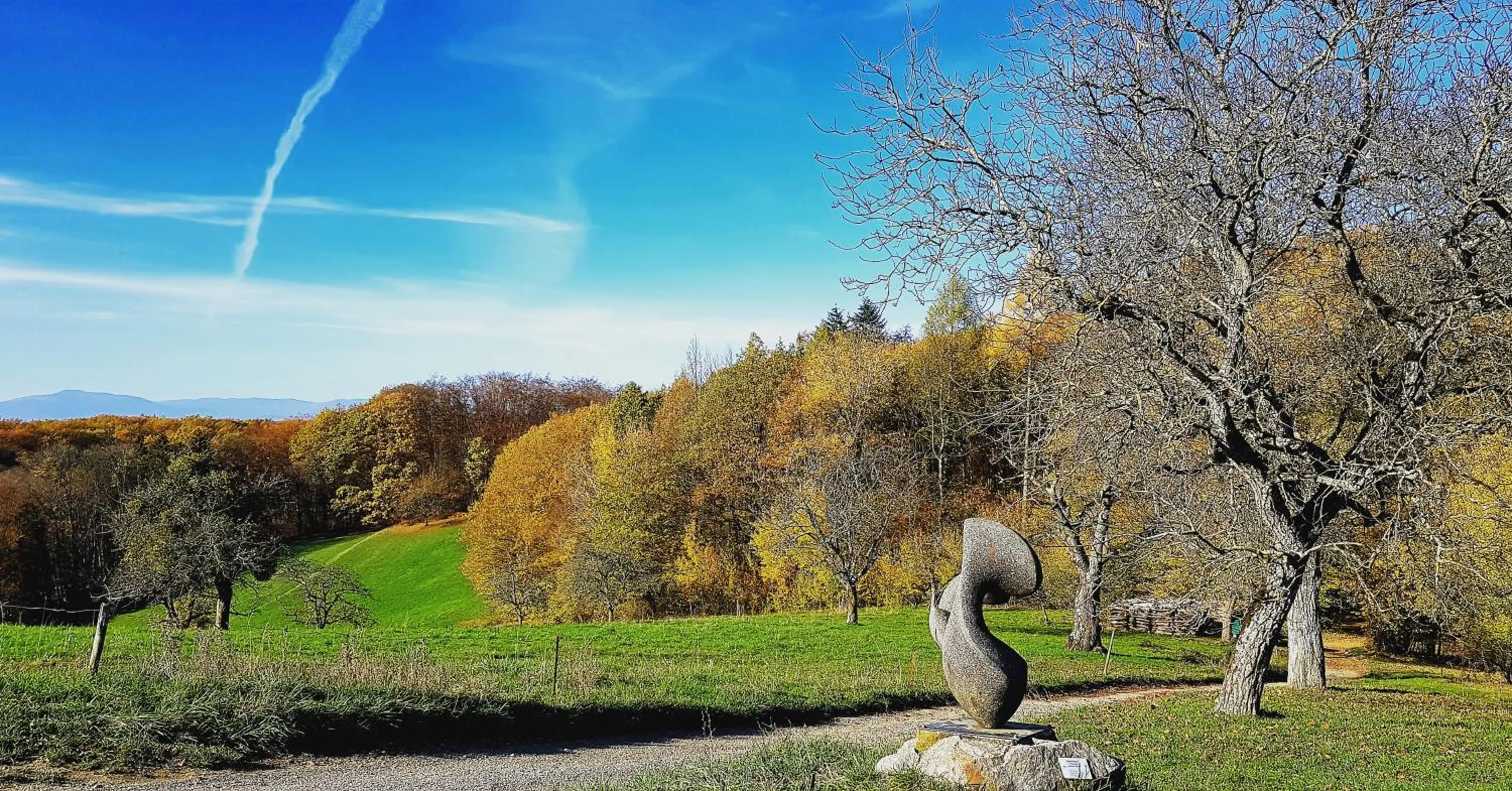 Natural landscape in Relais & Châteaux Hotel Schwarzmatt