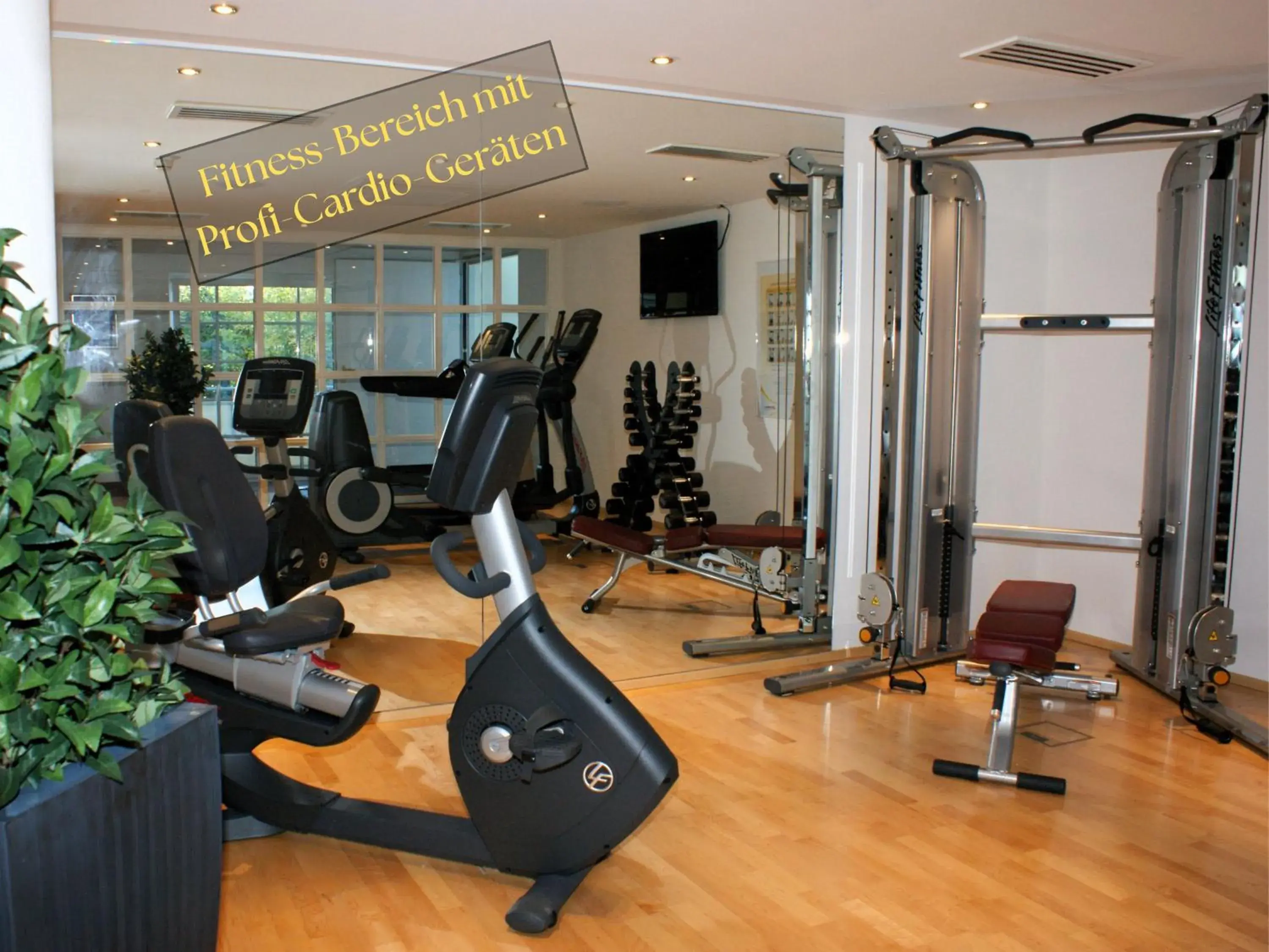 Fitness centre/facilities in Hotel Schlosskrone Fitness centre/facilities in Hotel Schlosskrone