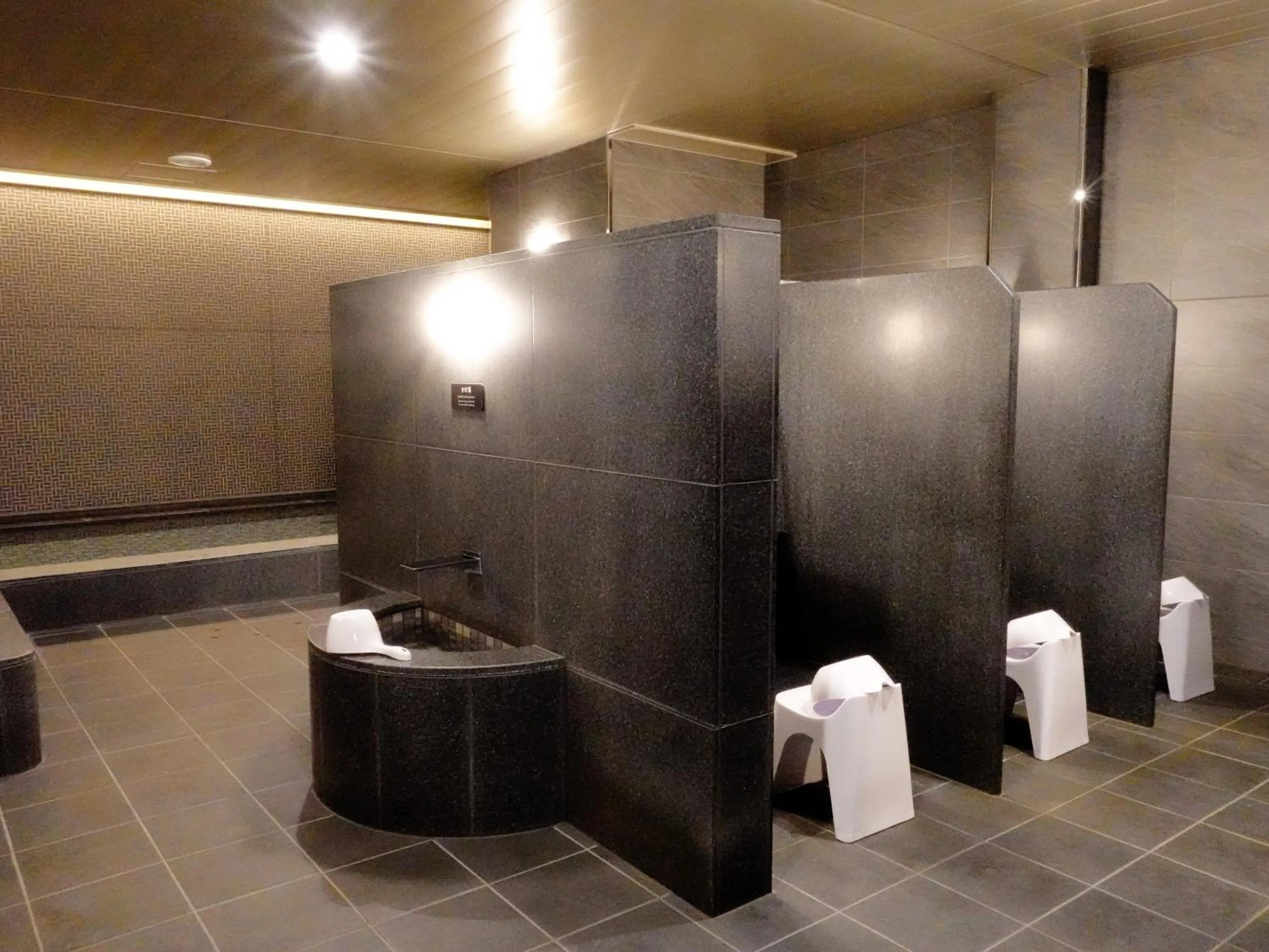 Public Bath in Hotel Elcient Osaka Umeda
