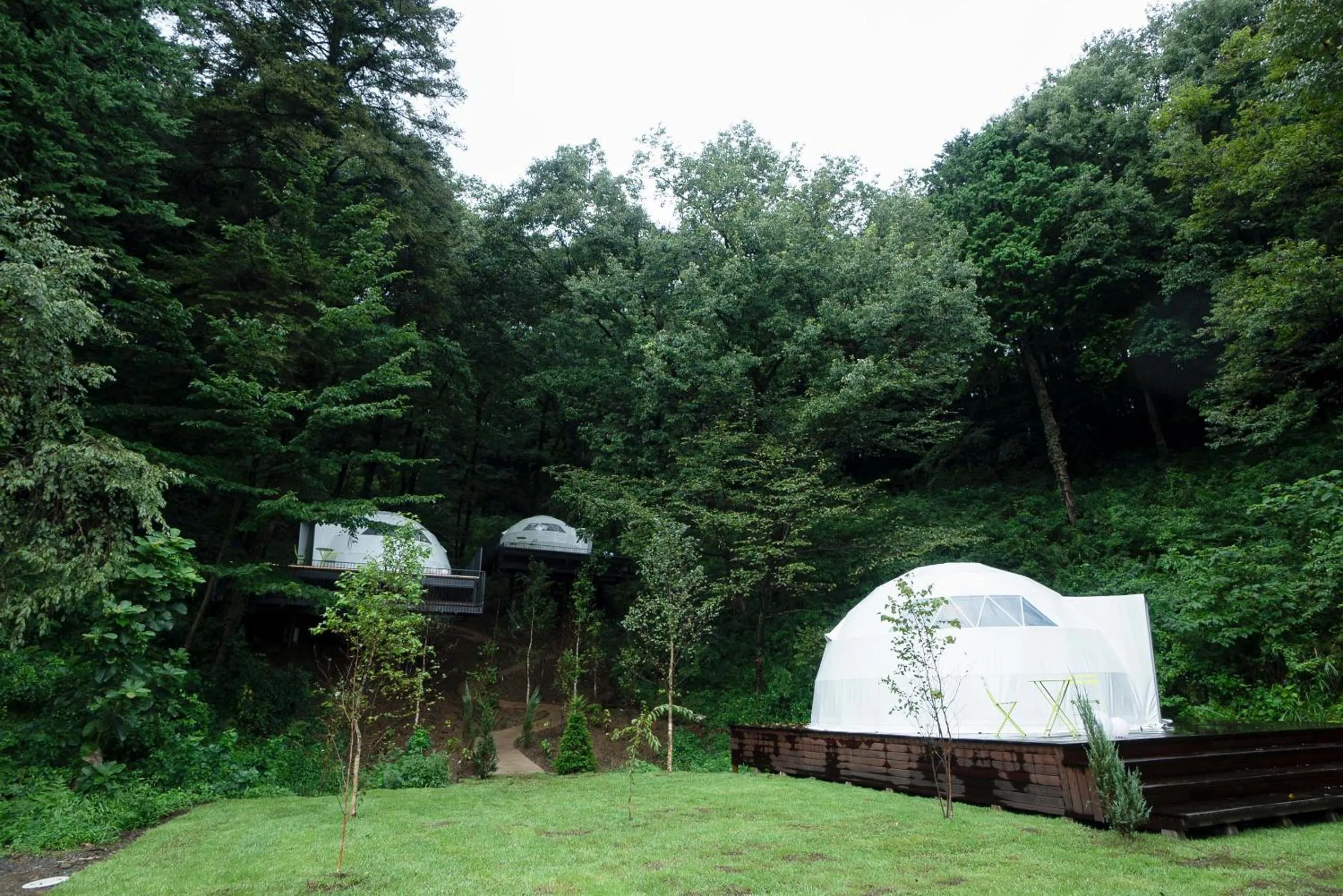 BIO-RESORT HOTEL & SPA O Park OGOSE