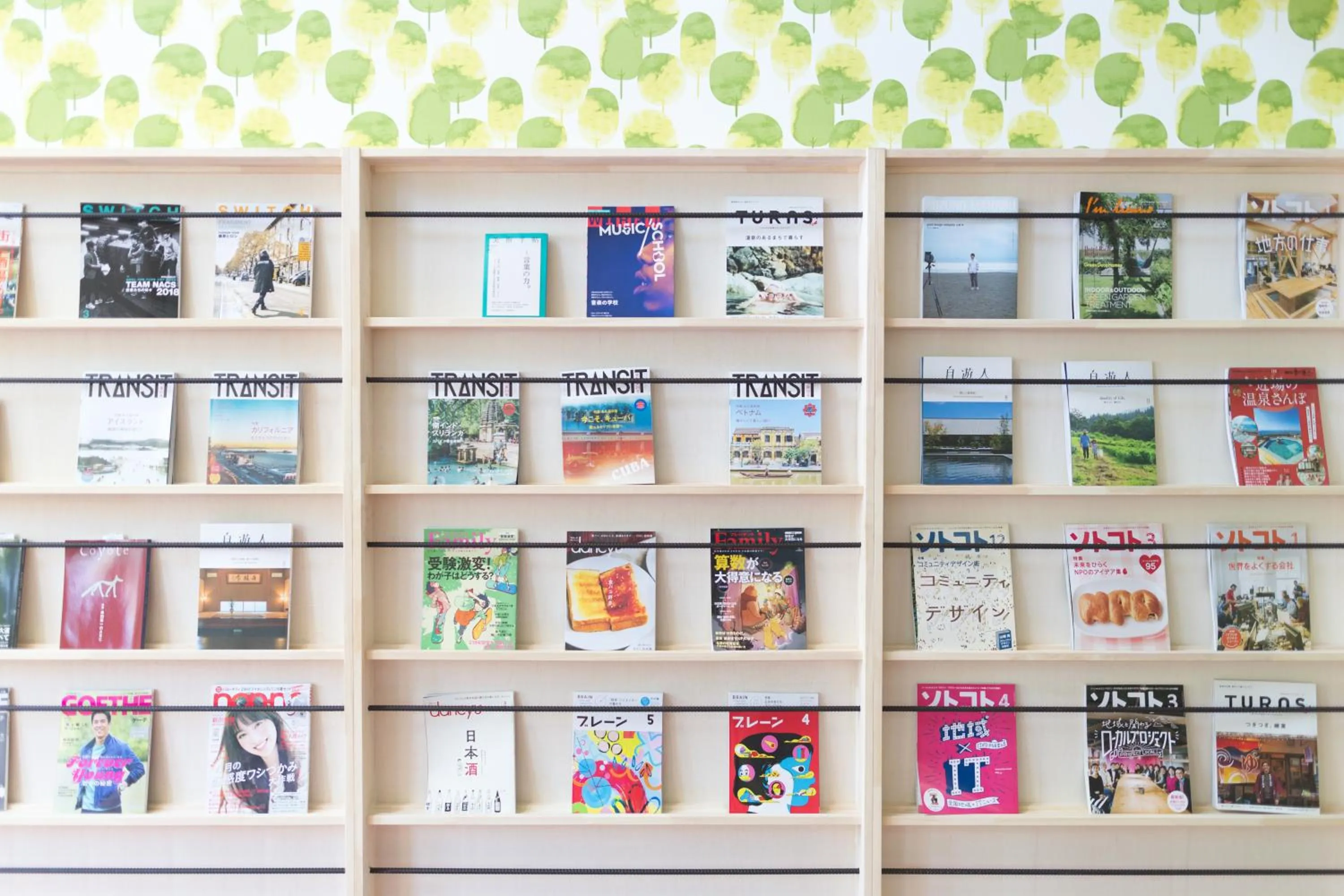 Spa and wellness centre/facilities in BIO-RESORT HOTEL & SPA O Park OGOSE