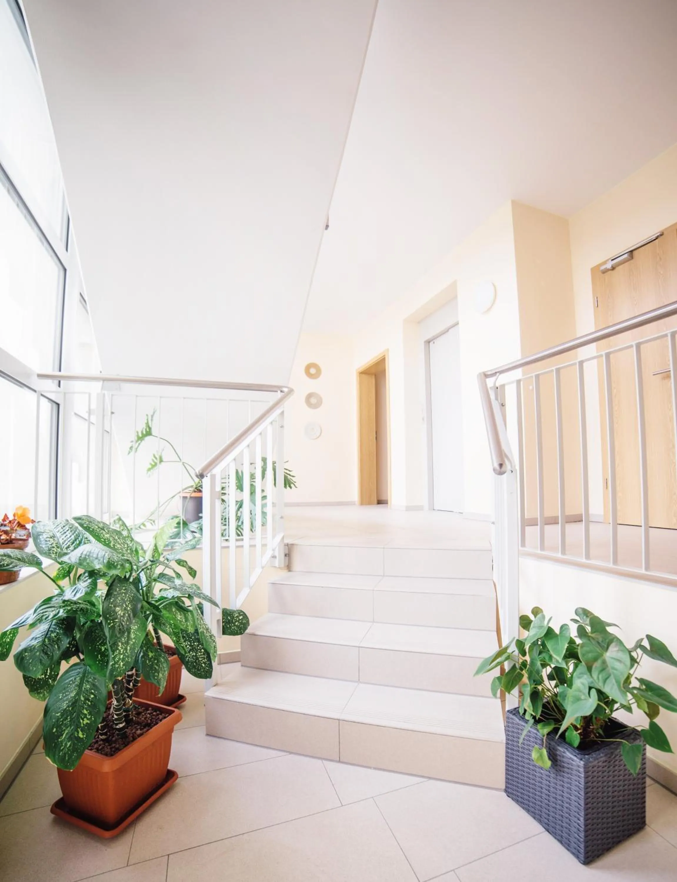 Hotel - Pension Vesta
