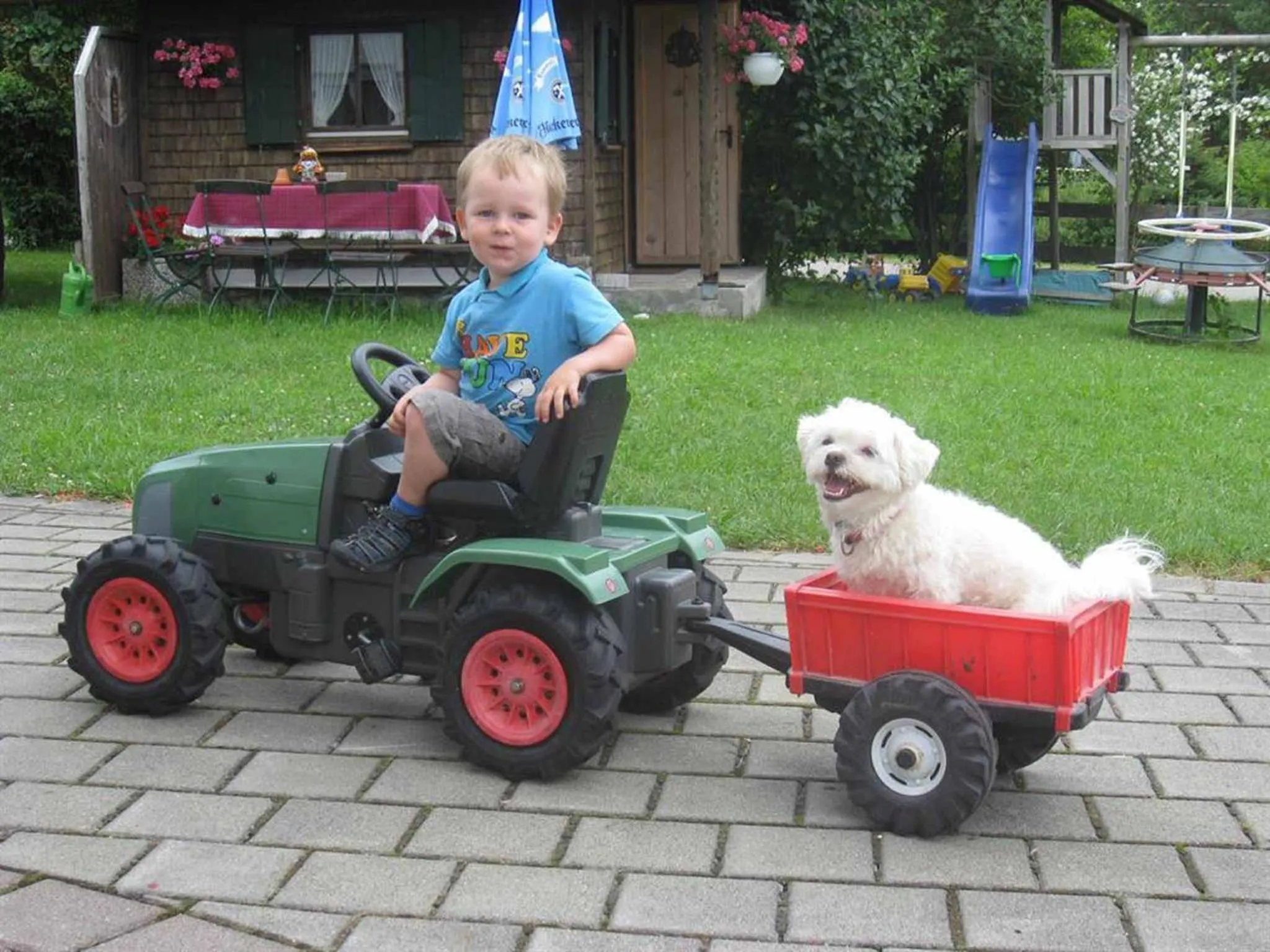 Animals in Veiter-Hof
