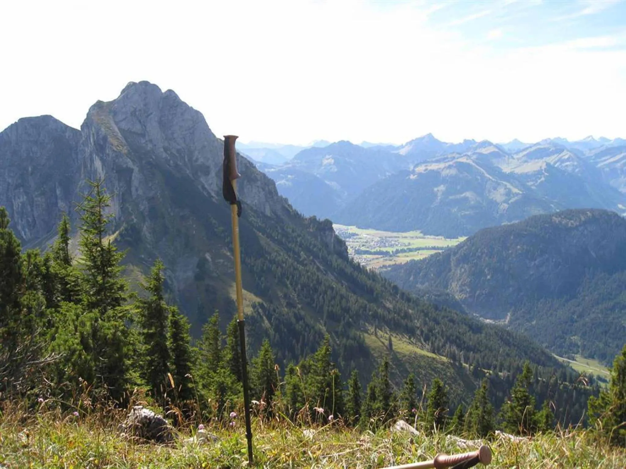 Natural landscape in Veiter-Hof