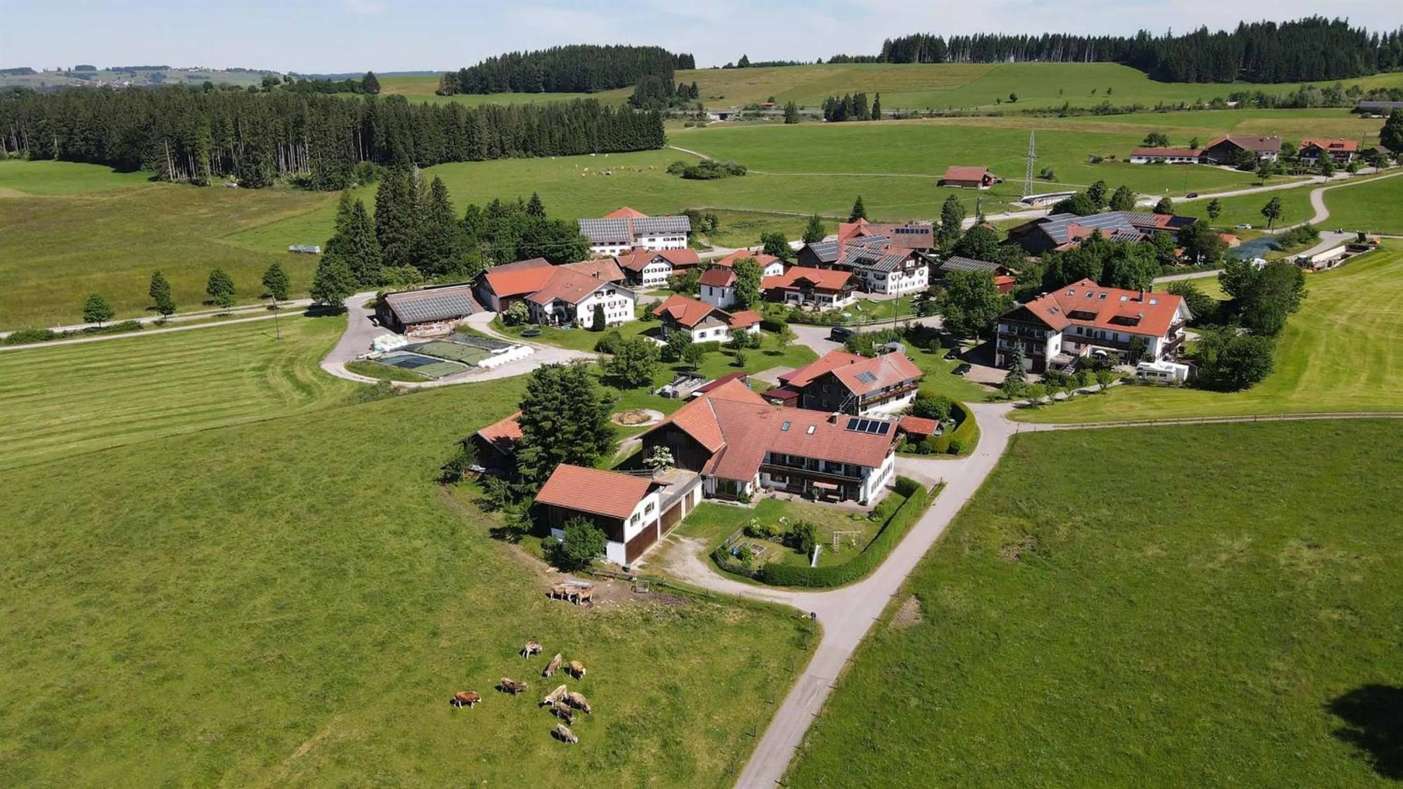 Bird's eye view in Veiter-Hof