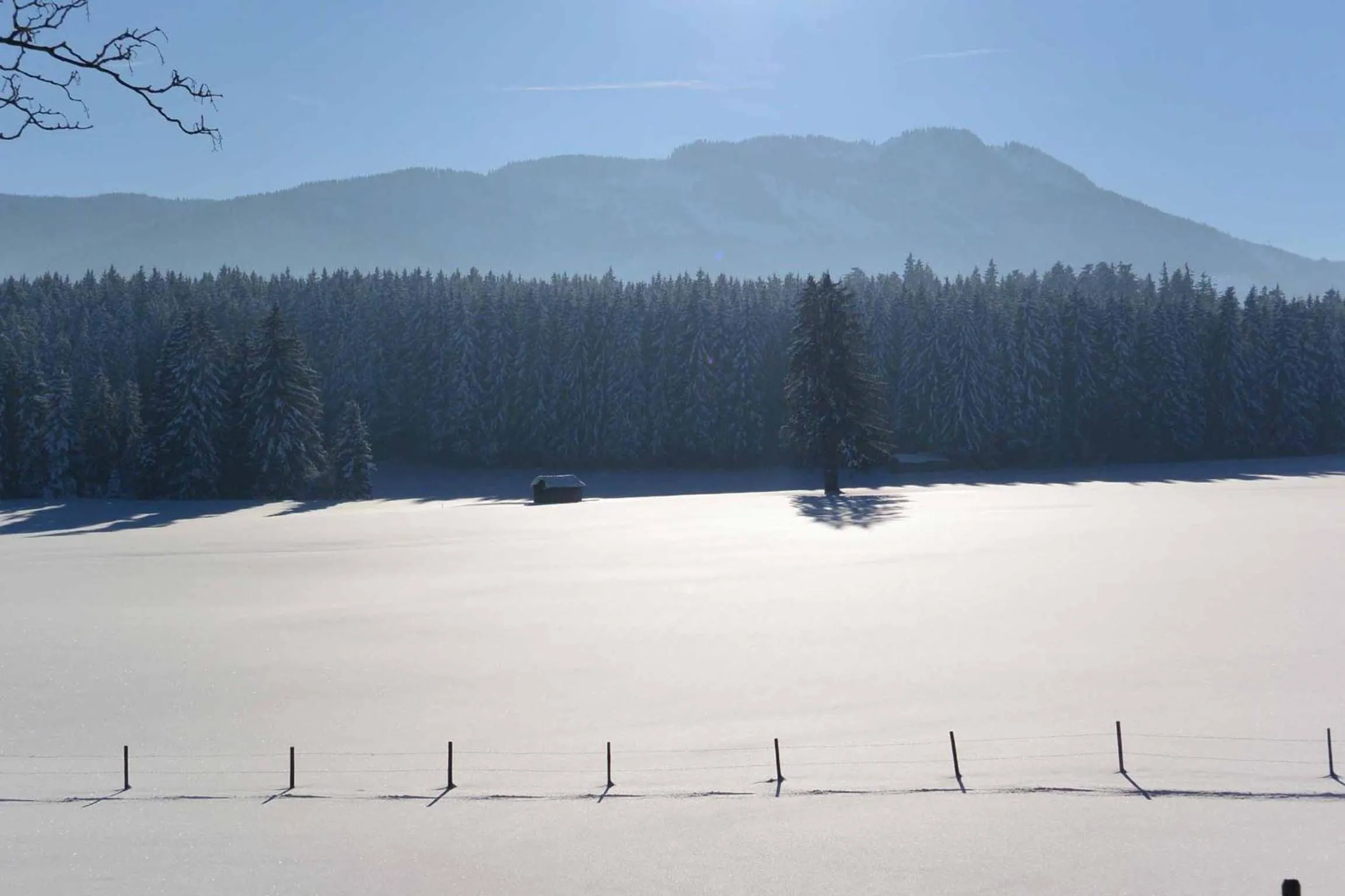 Natural landscape in Veiter-Hof