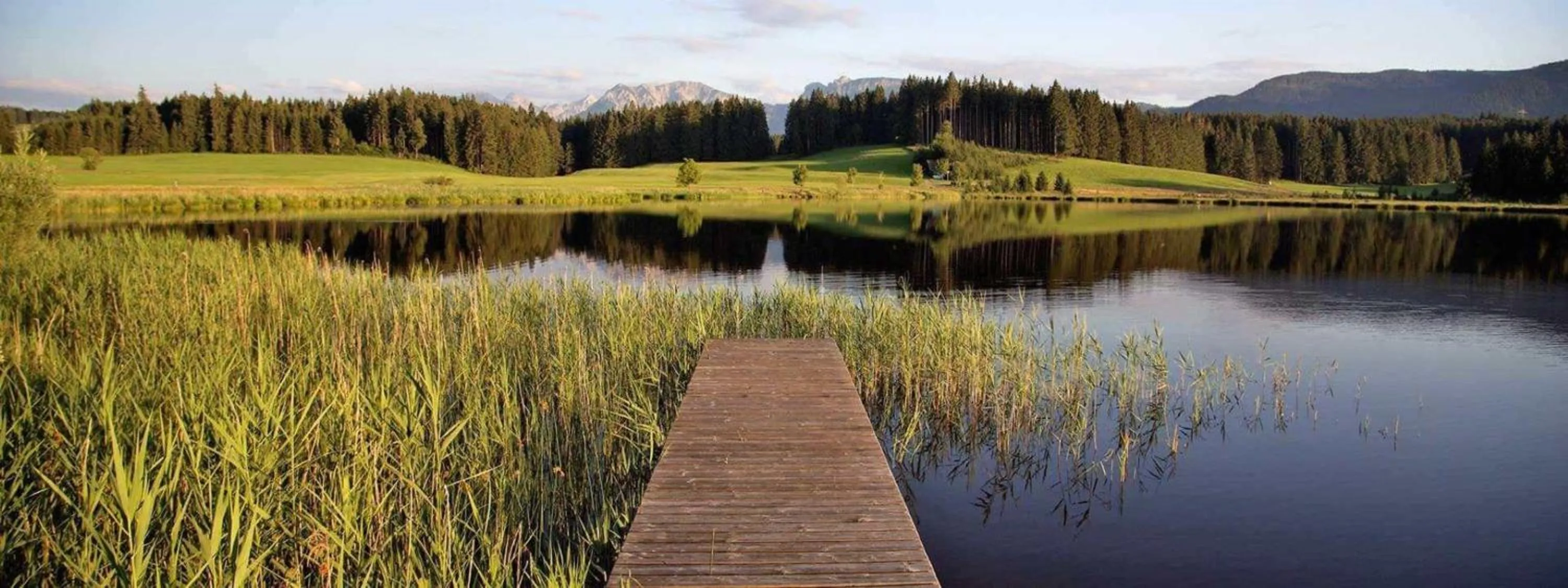 Natural landscape in Veiter-Hof