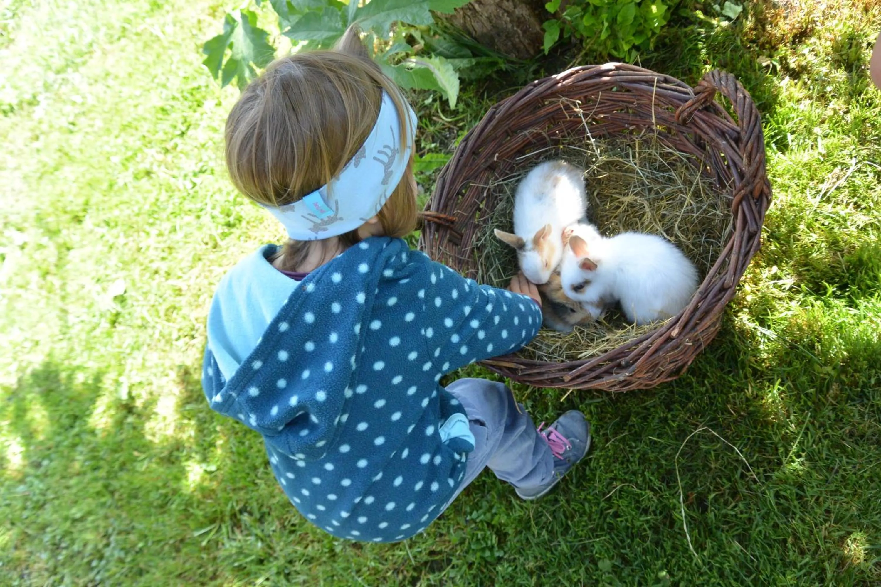 Animals in Veiter-Hof