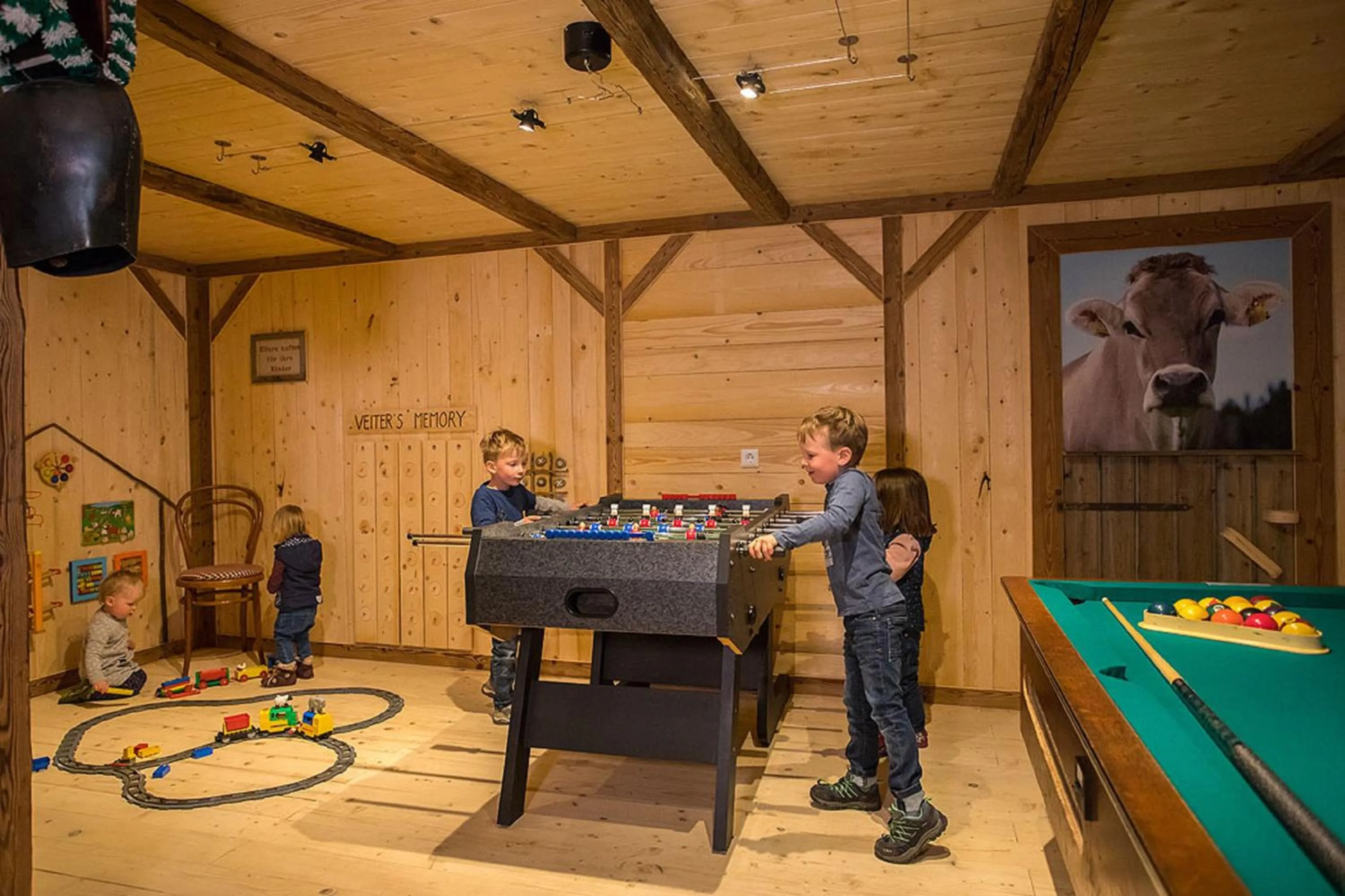 Game Room in Veiter-Hof