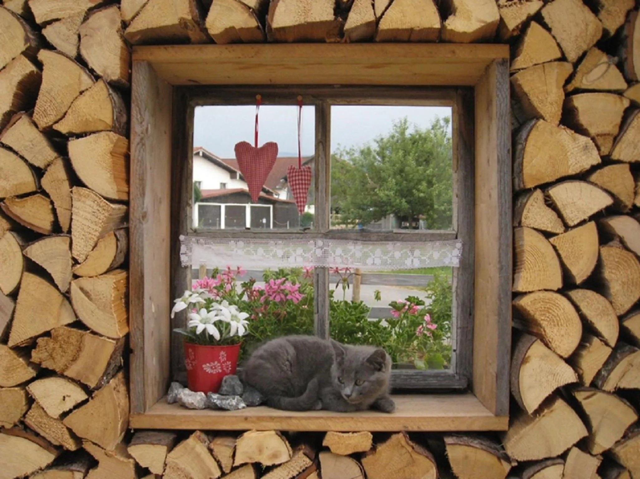 Other in Veiter-Hof
