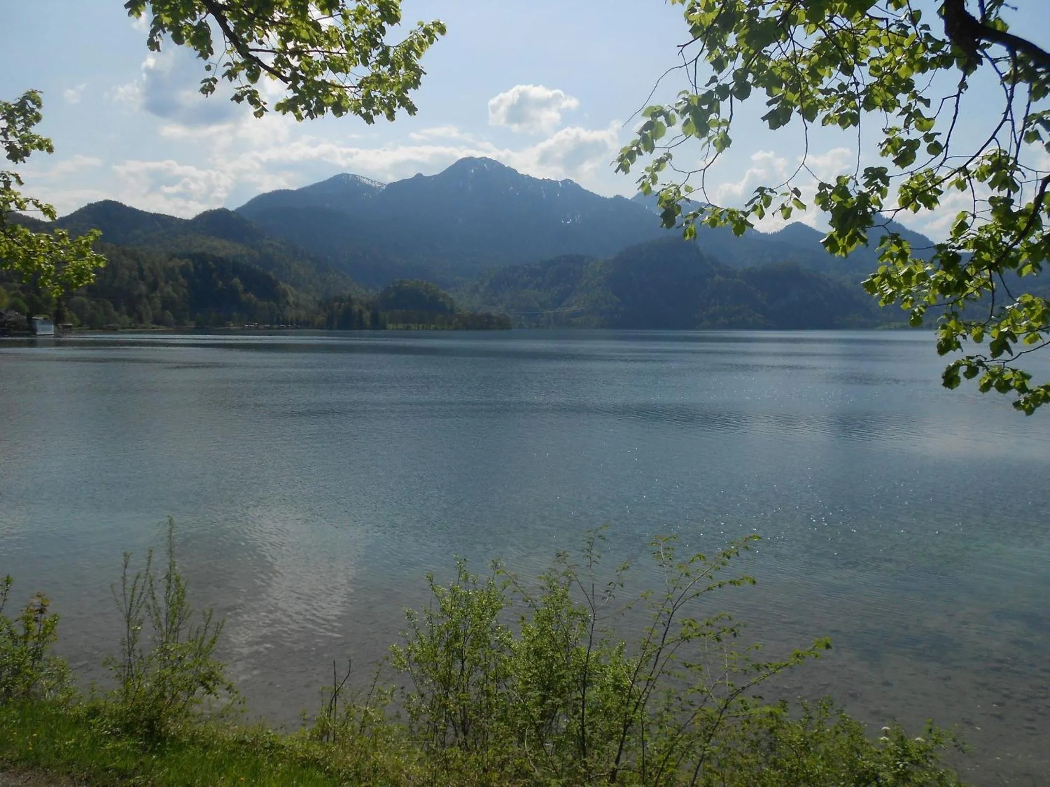 Area and facilities in Aparthotel Alpenpark