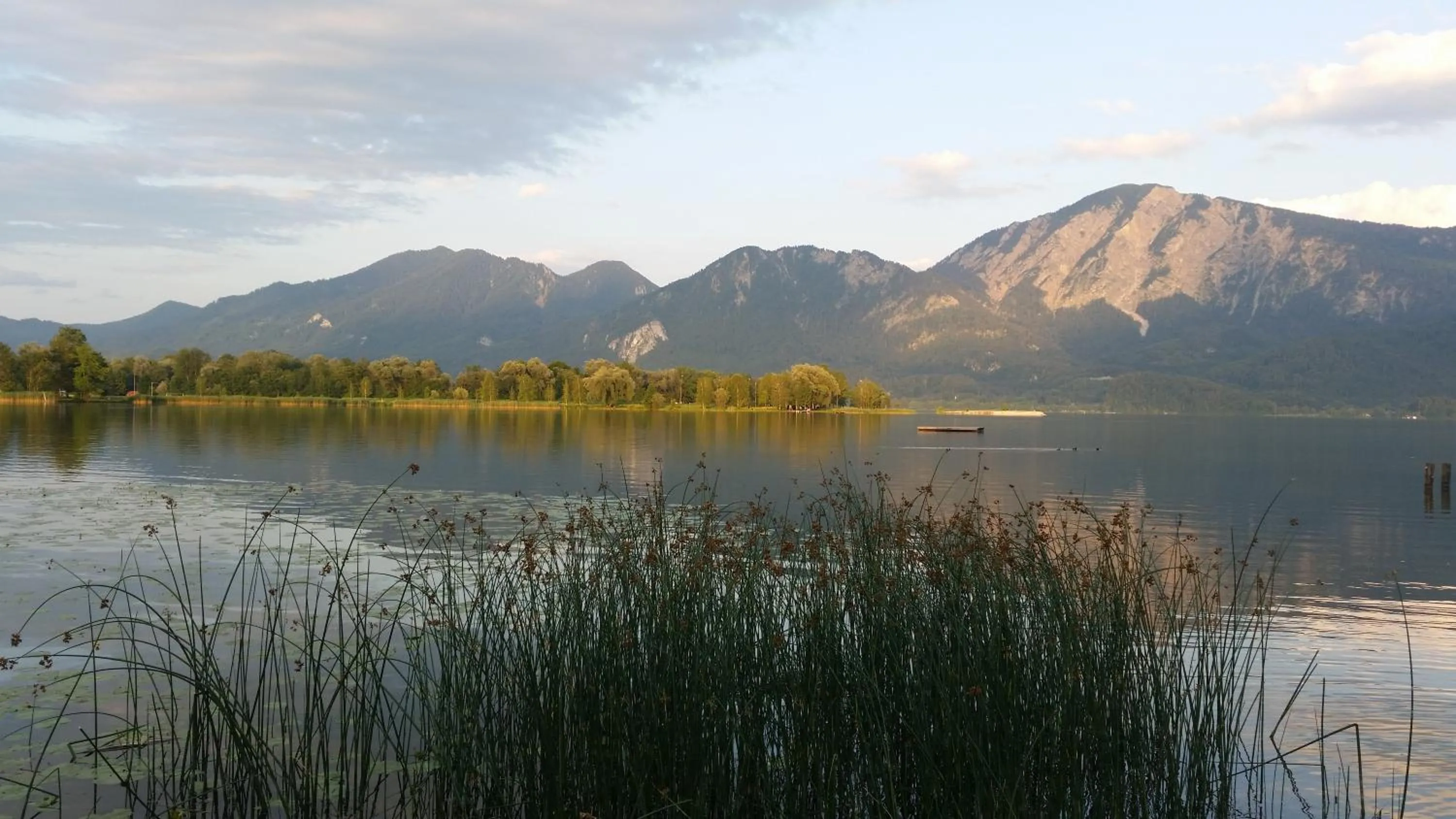 Natural landscape in Aparthotel Alpenpark