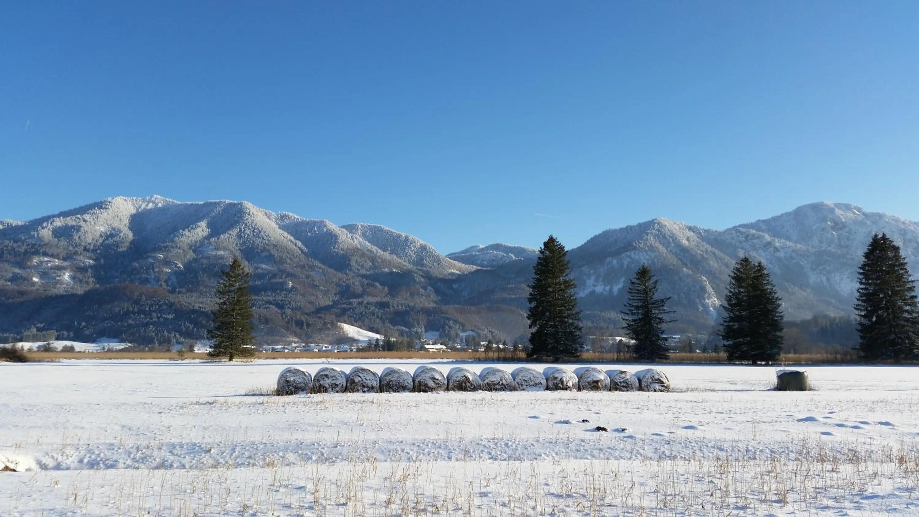 Natural landscape in Aparthotel Alpenpark
