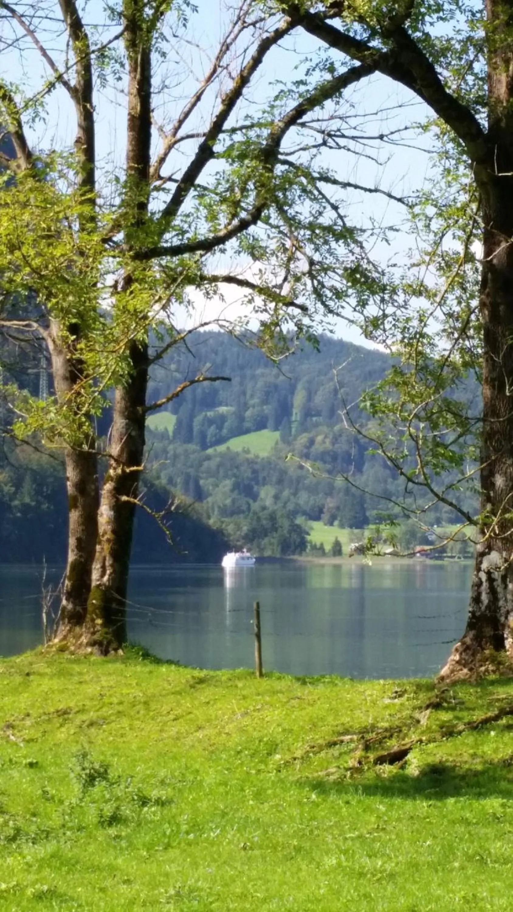 Area and facilities in Aparthotel Alpenpark