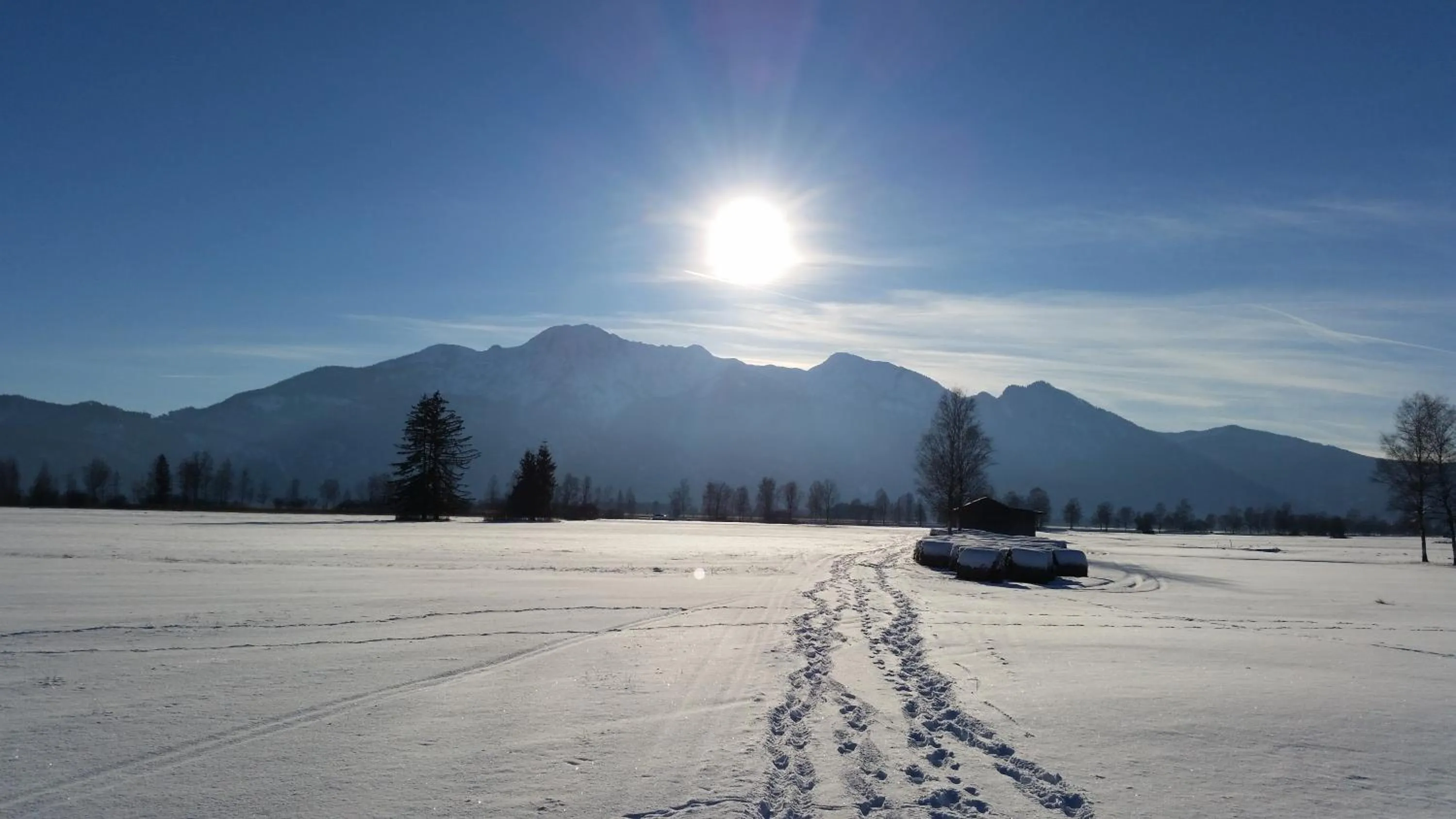 Natural landscape in Aparthotel Alpenpark