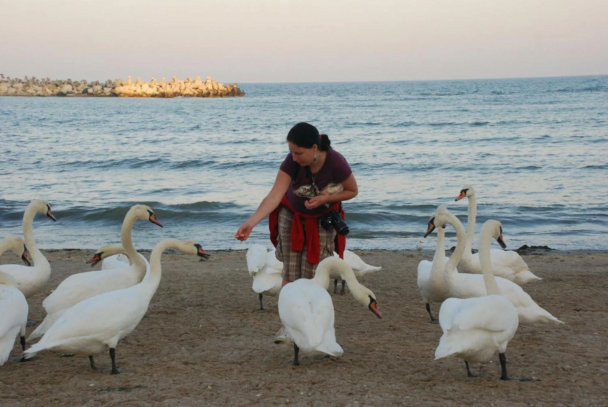 Vila Levent Mangalia